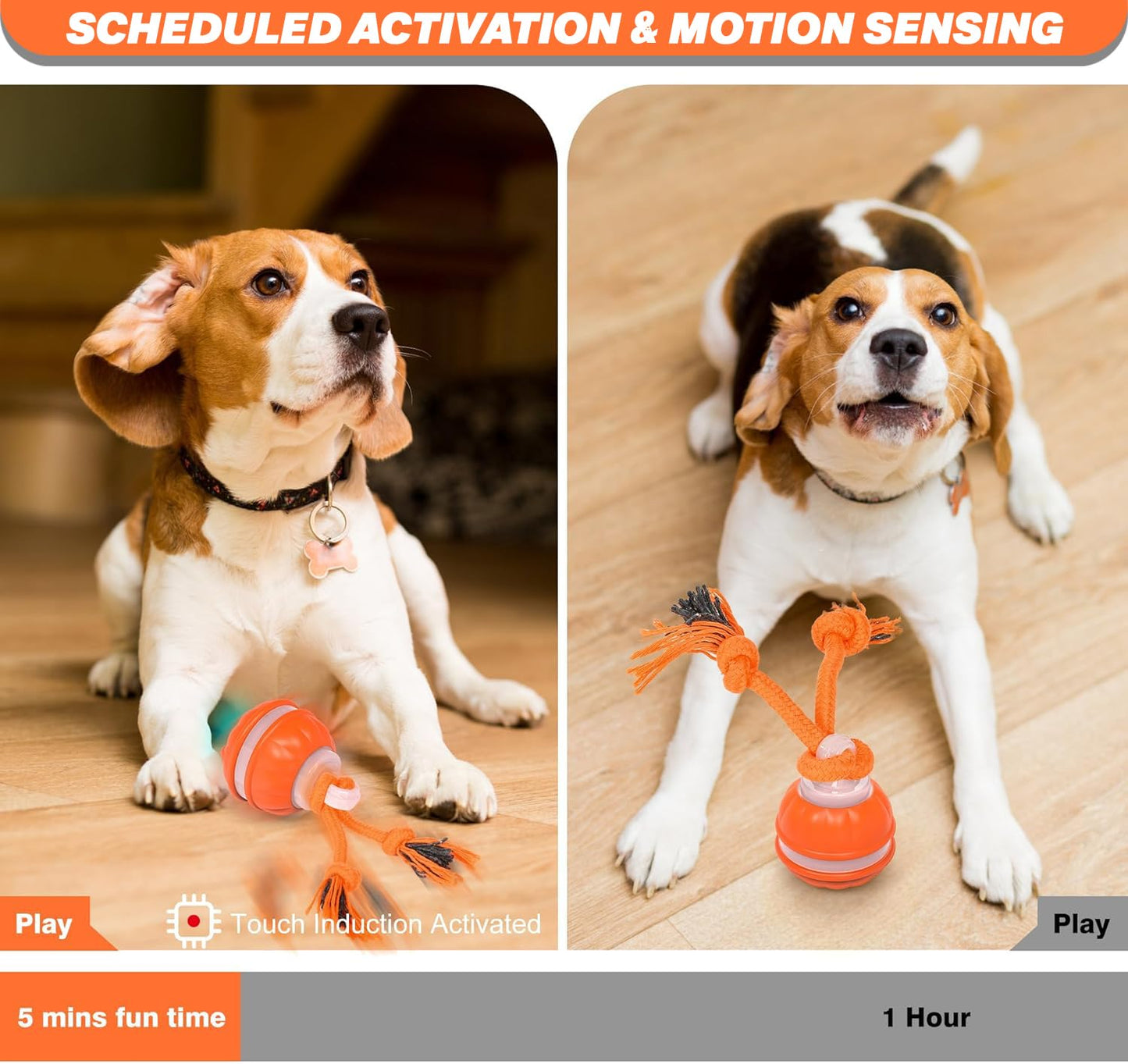 Interactive Dog Toy, Motion-Activated & Automatic Rolling, USB Rechargeable Smart Dog Ball with Teaser Rope & Squeaky Sound for Small & Medium Dogs, Puppy Stimulation Toy – Orange & Blue (Orange)