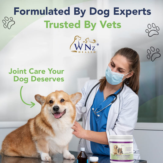 Hemp & Turmeric Hip and Joint Chews for Dogs - Dog Hemp Chews for Pain Relief & Arthritis - Anti-inflammatory Hemp Dog Treats w/MSM, Hemp Oil, Glucosamine and Chondroitin for Dogs 60 Chews, 8 Oz