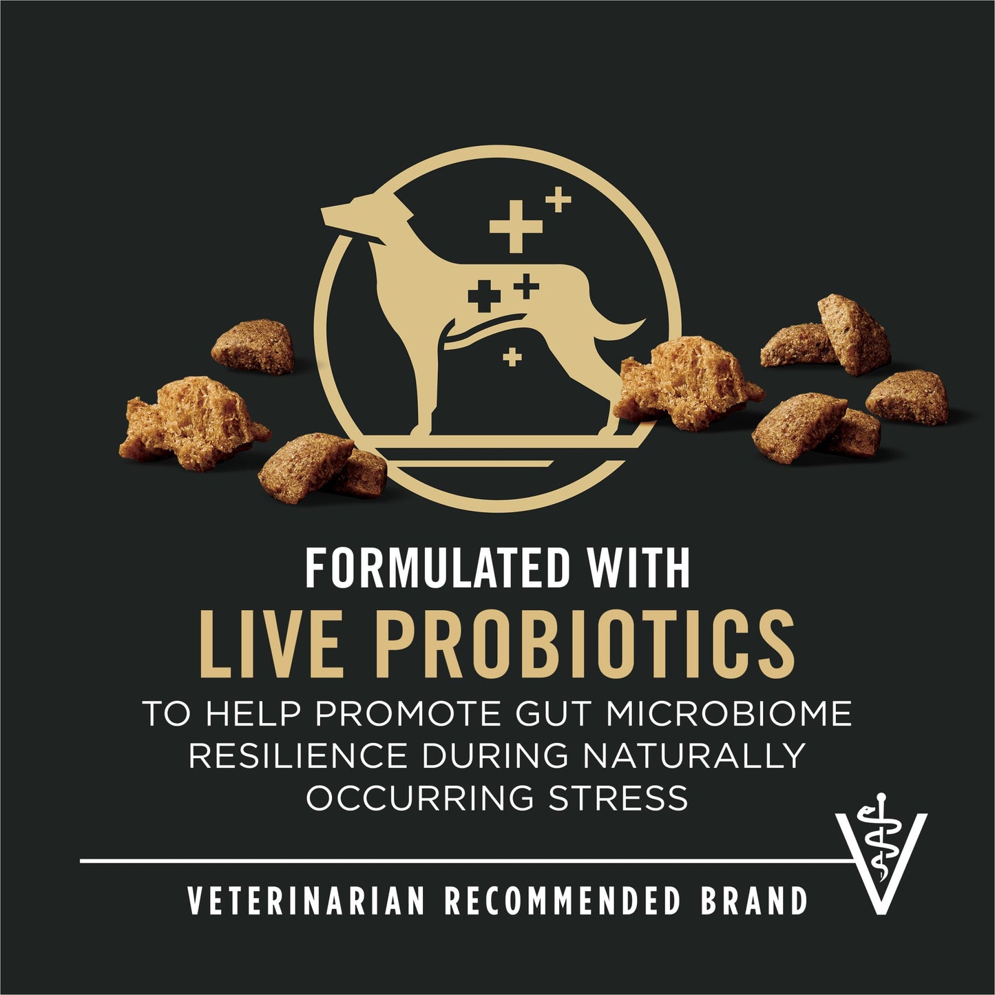 Pawstruck Air Dried Dog Food with Real Beef, Grain-Free, Made in USA, Non-GMO & Vet Recommended, High Protein Limited Ingredient Full-Feed for All Breeds & Ages, 2lb Bag