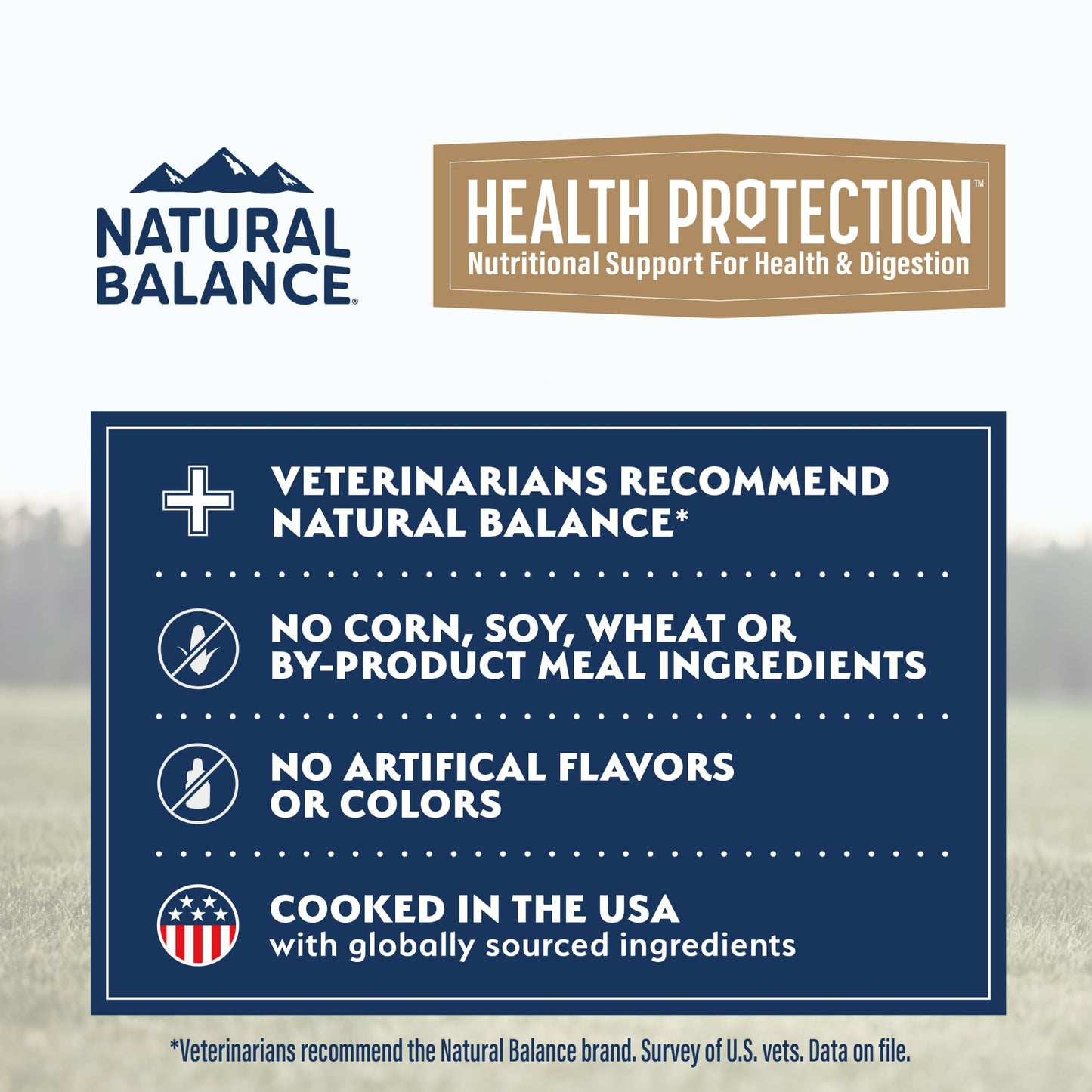 Natural Balance Health Protection Wet Dog Food – Whole Body Health, Easy on Digestion, Chicken, Pumpkin & Brown Rice Stew, Digestive Wellness Dog Food, High in Fiber - 12.5oz (Case of 6)