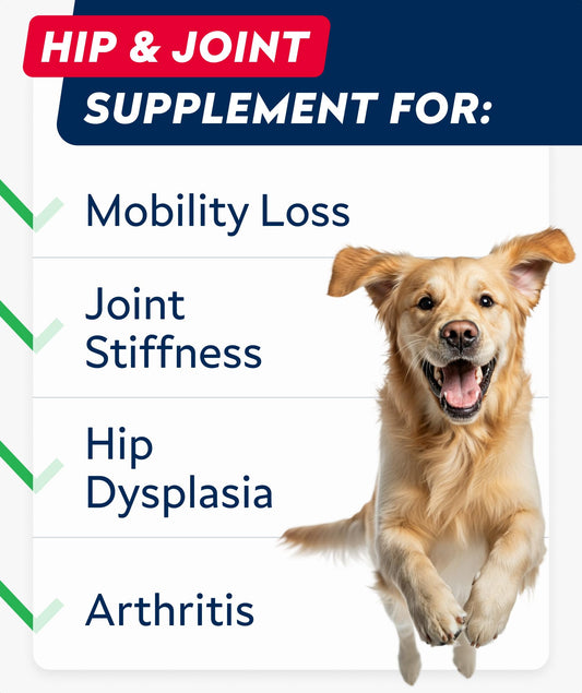 STRELLALAB Hip & Joint Glucosamine Supplement Treats for Dogs - Chondroitin, Omega-3, MSM - Advanced Joint Health Support Chews for Large Breed - Pain Relief - Bacon Flavor - 120 Ct - Made in USA