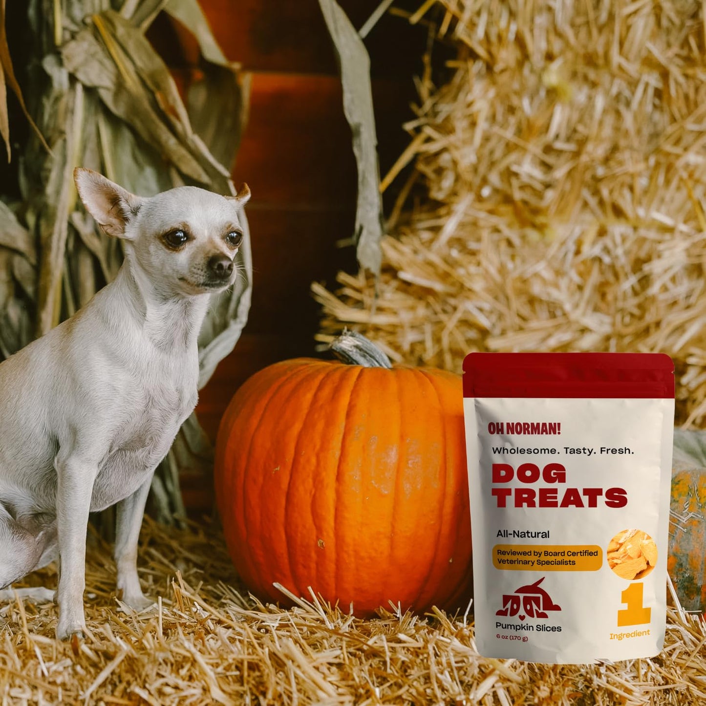 OH NORMAN! Single Ingredient Pumpkin Dog Treats by Kaley Cuoco, Healthy Dog Treats for All Life Stages and Breeds, Air Dried, Ethically Sourced in Canada, 6 Oz