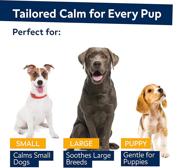 Advanced Allergy + Hemp Calming Dogs Bundle - Itchy Skin Treatment + Anxiety Relief - Omega3&Pumpkin - Dog Itch Relief + Health & Wellness Supplements for Dog Separation Barking - 240Ct - Made in USA