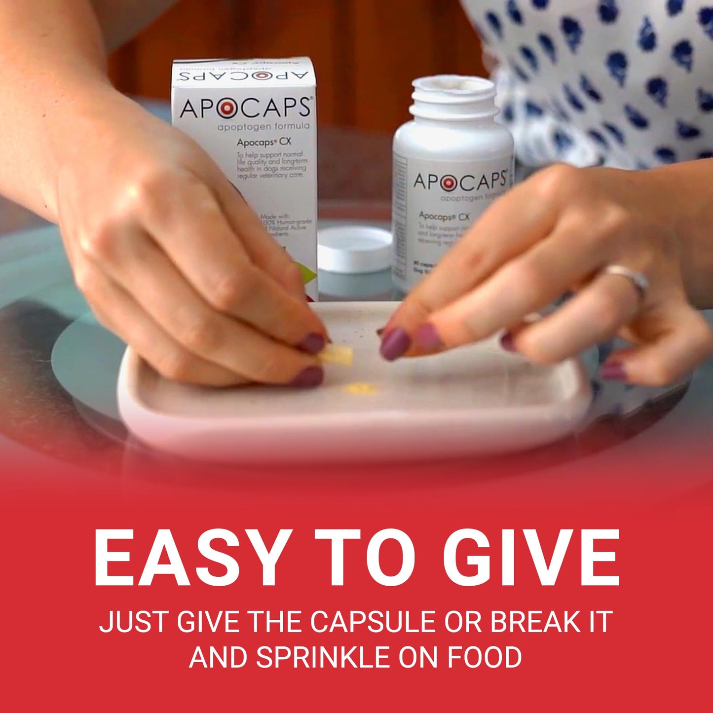 Apocaps CX Apoptogen Formula for Dogs (90 Capsules) - Supports Normal Levels of Apoptosis + Human Grade Ingredients Including Citrus Bioflavonoids, Silymarin, Curcumin and Turmeric + Biovadex