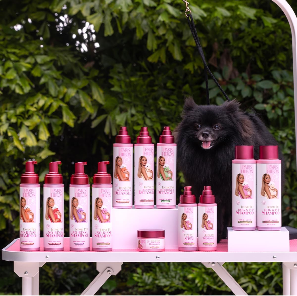 Paris Hilton Pet Iconic No-Rinse Dog Shampoo, Fragrance-Free, Waterless Dog Wash, Hypoallergenic, 280ml – Quick Clean for Sensitive Skin, Easy Grooming, No Rinse Needed
