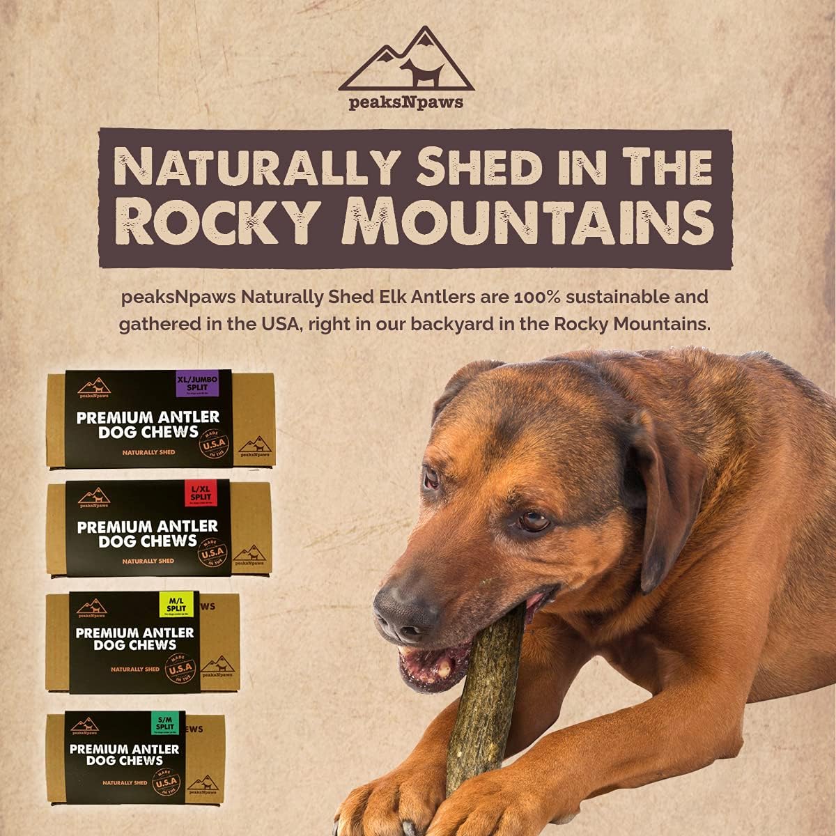 peaksNpaws Premium All-Natural Grade A Split Elk Antlers for Dogs – Naturally Shed in The Rocky Mountains – No Additives, No Preservatives - Healthy and Delicious Treat - Made in USA - XL/Jumbo Split