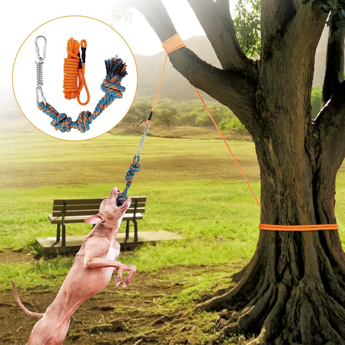 Storystore Dog Tug Toy Dog Training Bite Pillow Jute Bite Toy - Best for Tug of War, Puppy Training Interactive Play - Interactive Toys for Small and Medium Dogs (Orange)