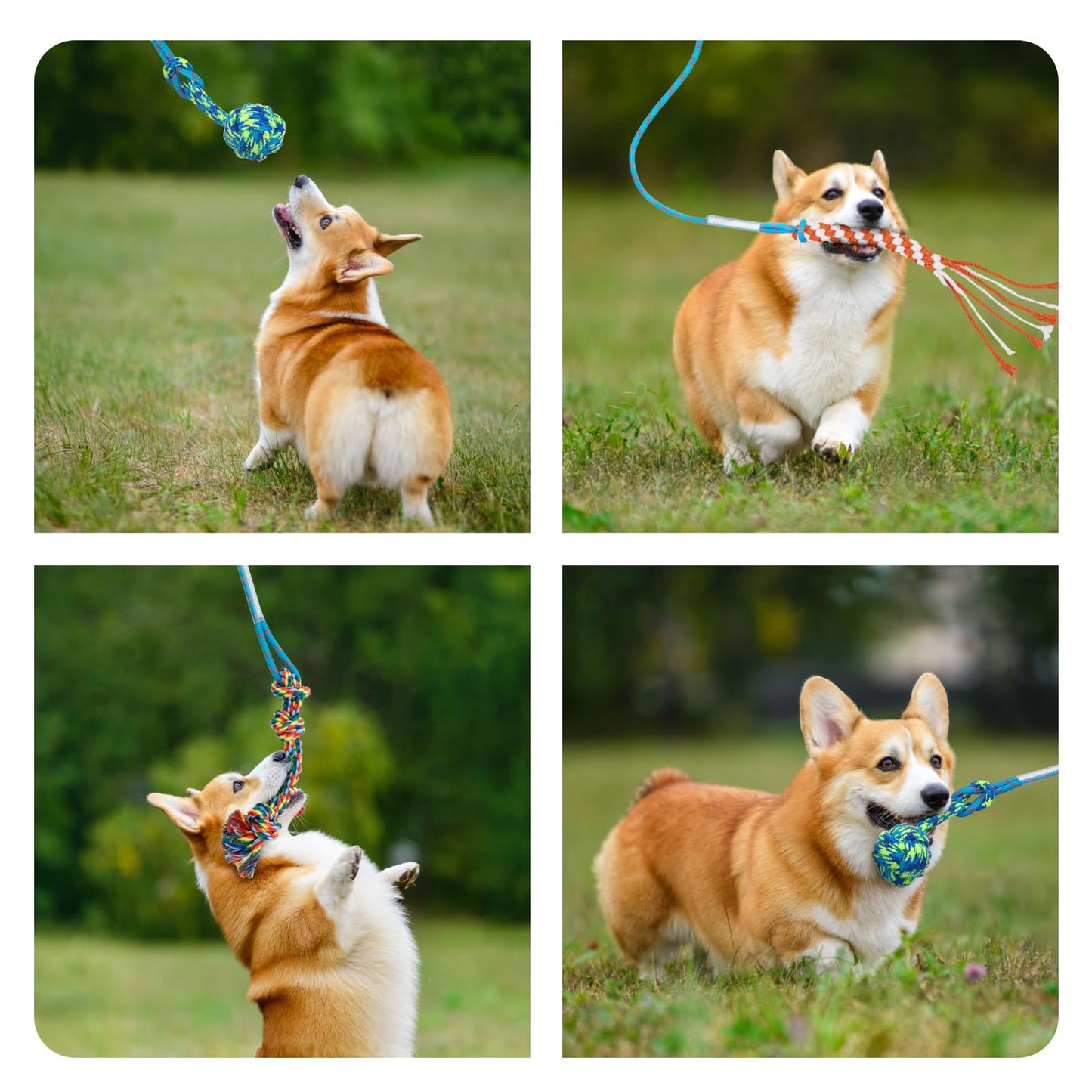 LOOBANI Flirt Pole for Dogs Tug of War Rope Toy Interactive Dog Toys Enrichment for Medium Small Dogs Heavy Duty Replacement Toys Chewing for Outdoor Exercise & Training