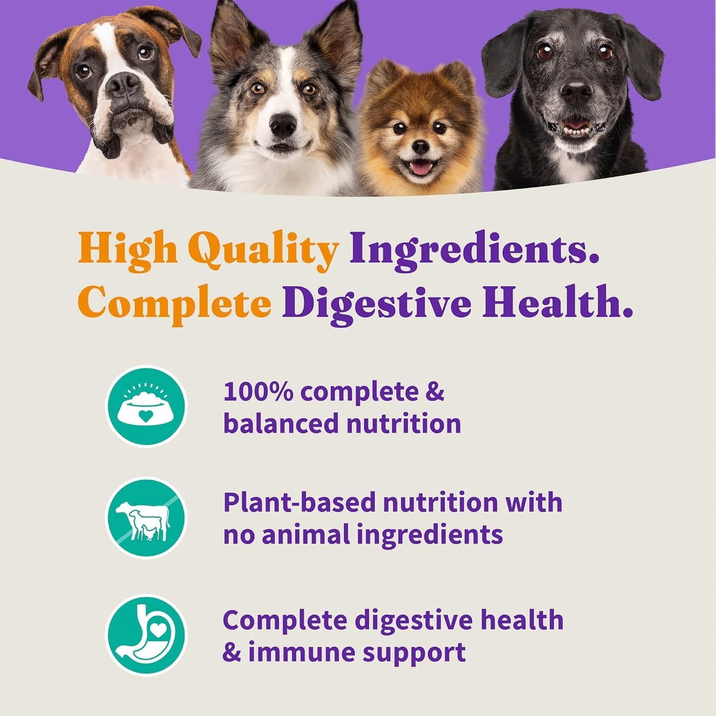Halo Holistic Vegan Dog Food, Plant-Based Recipe with Kelp, Dry Dog Food, Complete Digestive Health, Kibble for Adult Dogs, 21 lb Bag