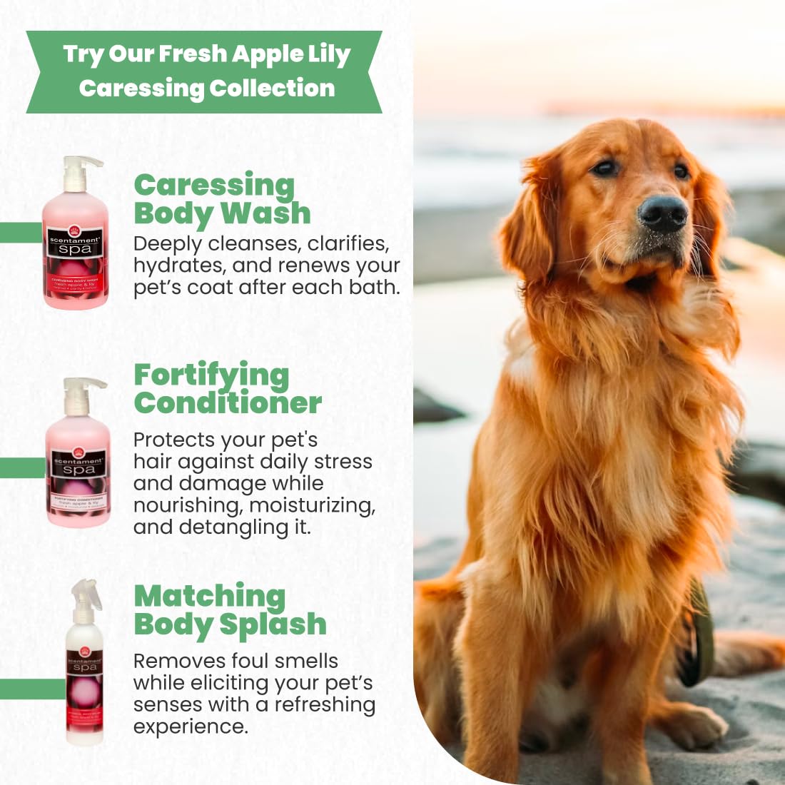 Best Shot Scentament Spa Caressing Body Wash, Fresh Apple Lily, 16 oz