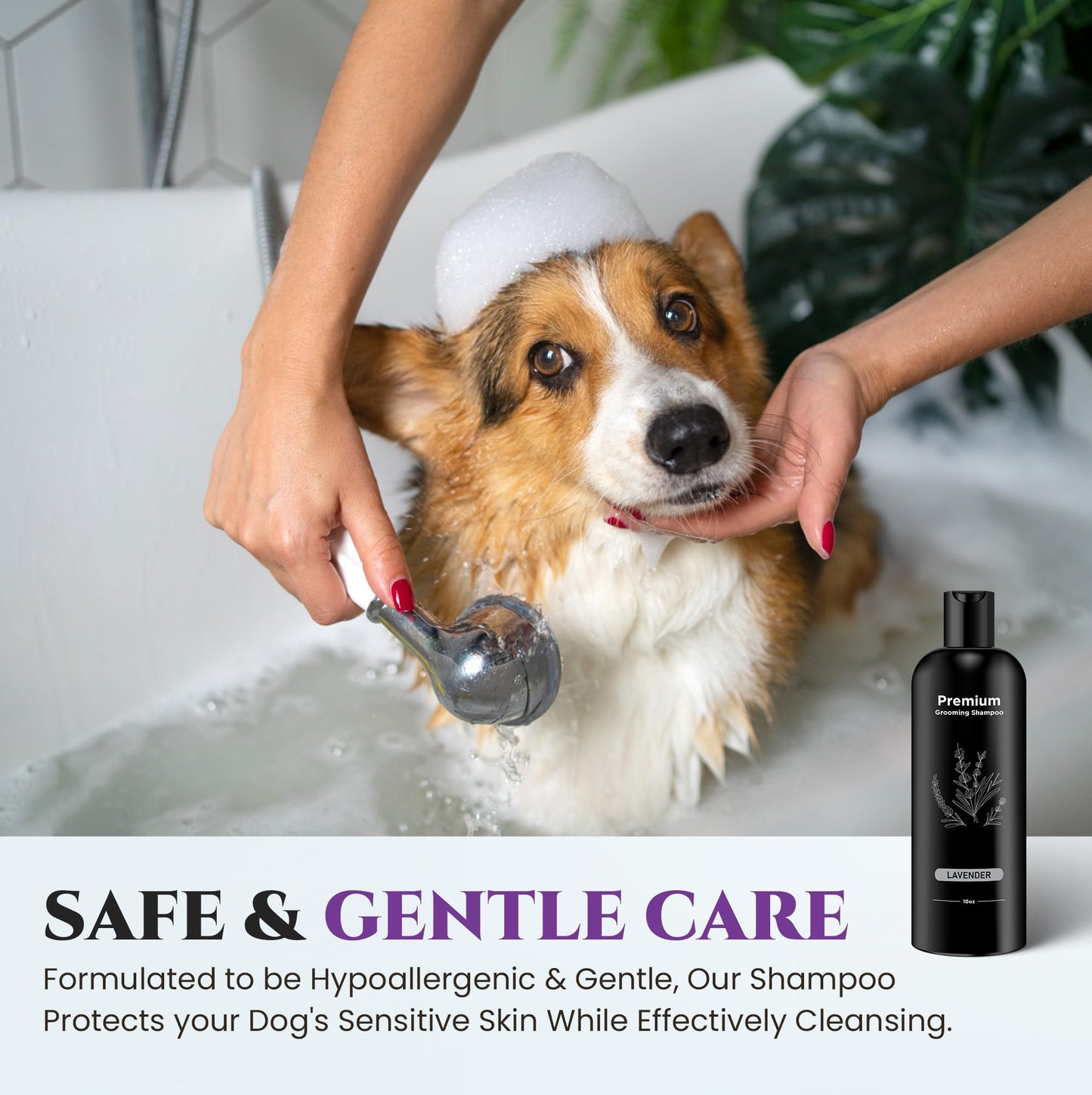 605Products Premium Dog Shampoo - Gentle Formula for Itchy & Sensitive Skin, Odor Eliminator for Puppies, Natural Deodorizer for Pets (10oz)- Lavender