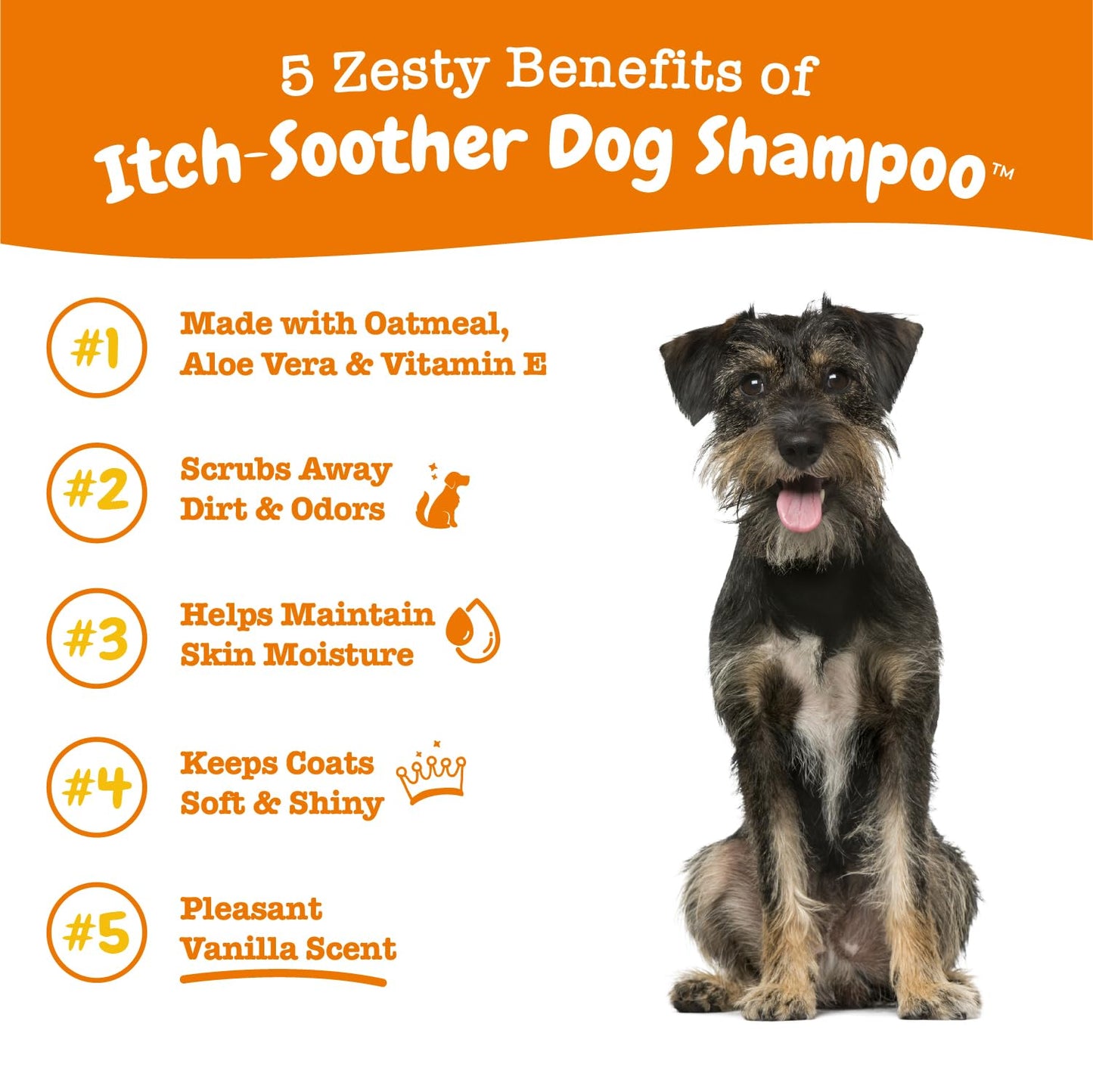 Dog Shampoo with Oatmeal & Aloe Vera - Grooming Pet Wash for Itchy & Sensitive Skin + Dandruff & Coat - Gentle Anti Itch Formula - Vanilla Bean Scent - 16 OZ
