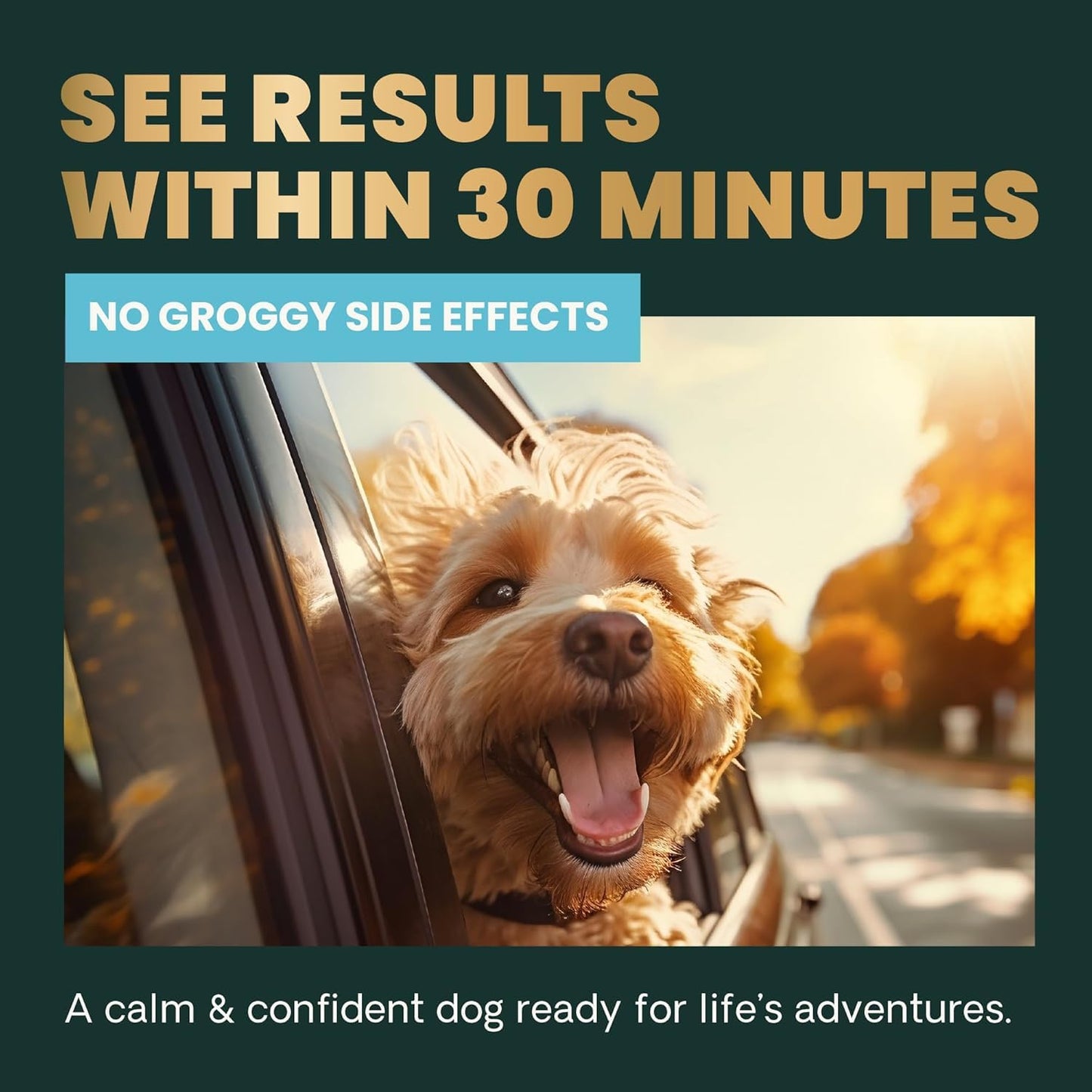 VetriScience Calm & Confident Chews, Composure Clinically Tested Calming and Anxiety Supplement for Dogs, Reduce Stress and Fear, Ideal for Thunderstorms, Fireworks and Travel, Chicken, 60 Count