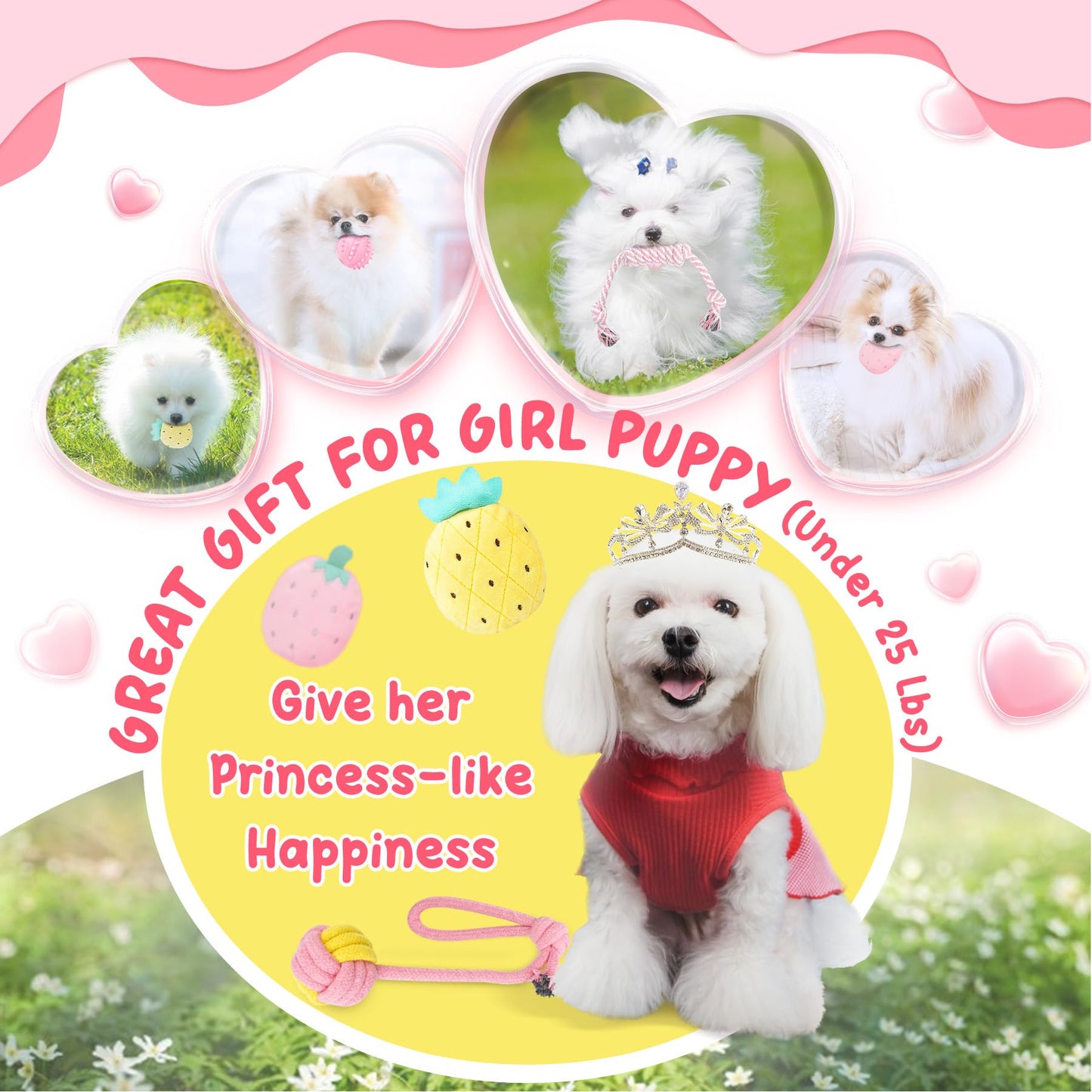 XIUGOAL Pink Puppy Toys for Teething - 23 Pack Puppy Chew Toys for Boredom, Interactive Dog Toys for Puppies, Cute Small Dog Toys with Treat Ball, Squeaky Dog Chew Toys and Ropes