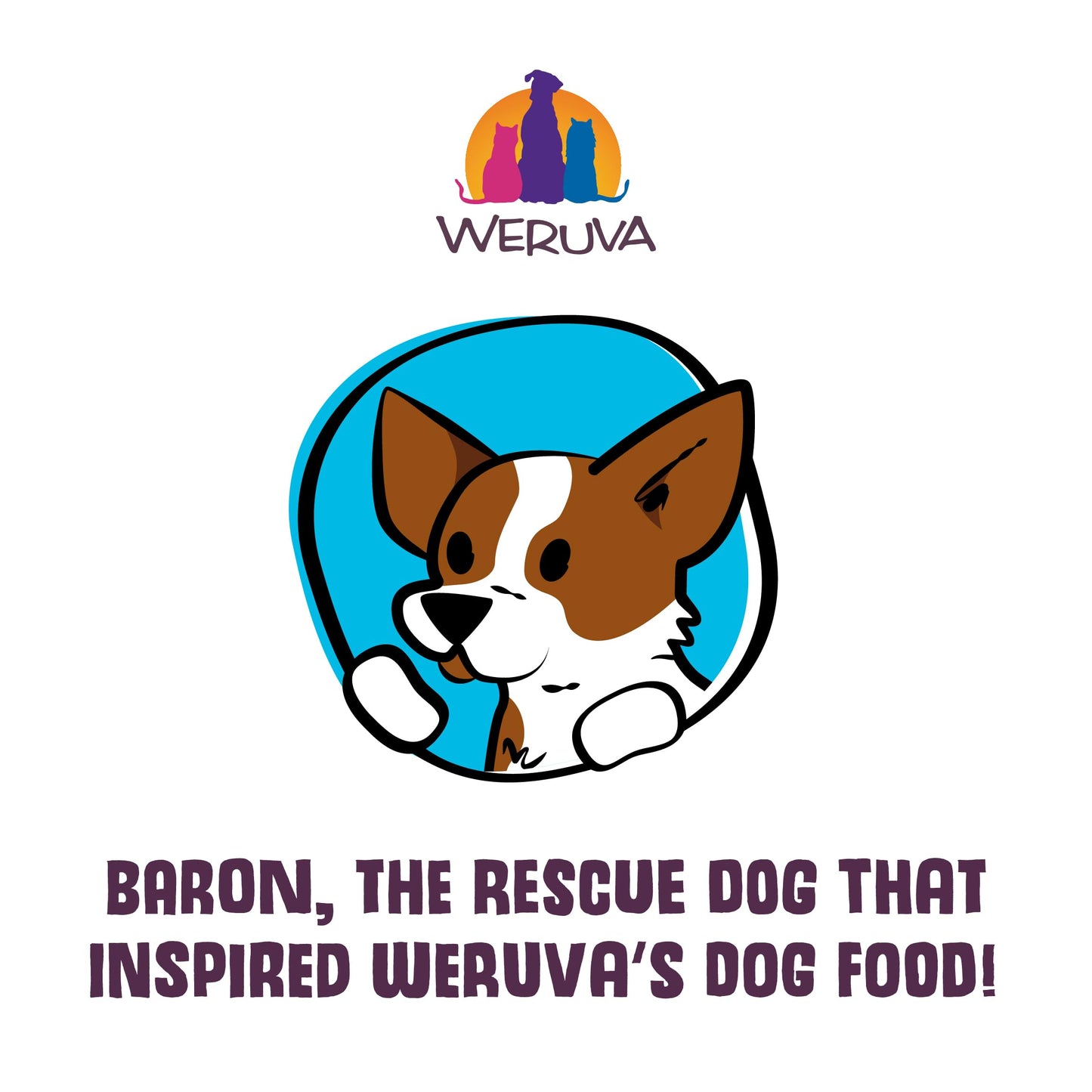 Weruva Classic Dog Food, Variety Pack, Baron's Batch, Wet Dog Food, 14oz Cans (Pack of 12), Multi