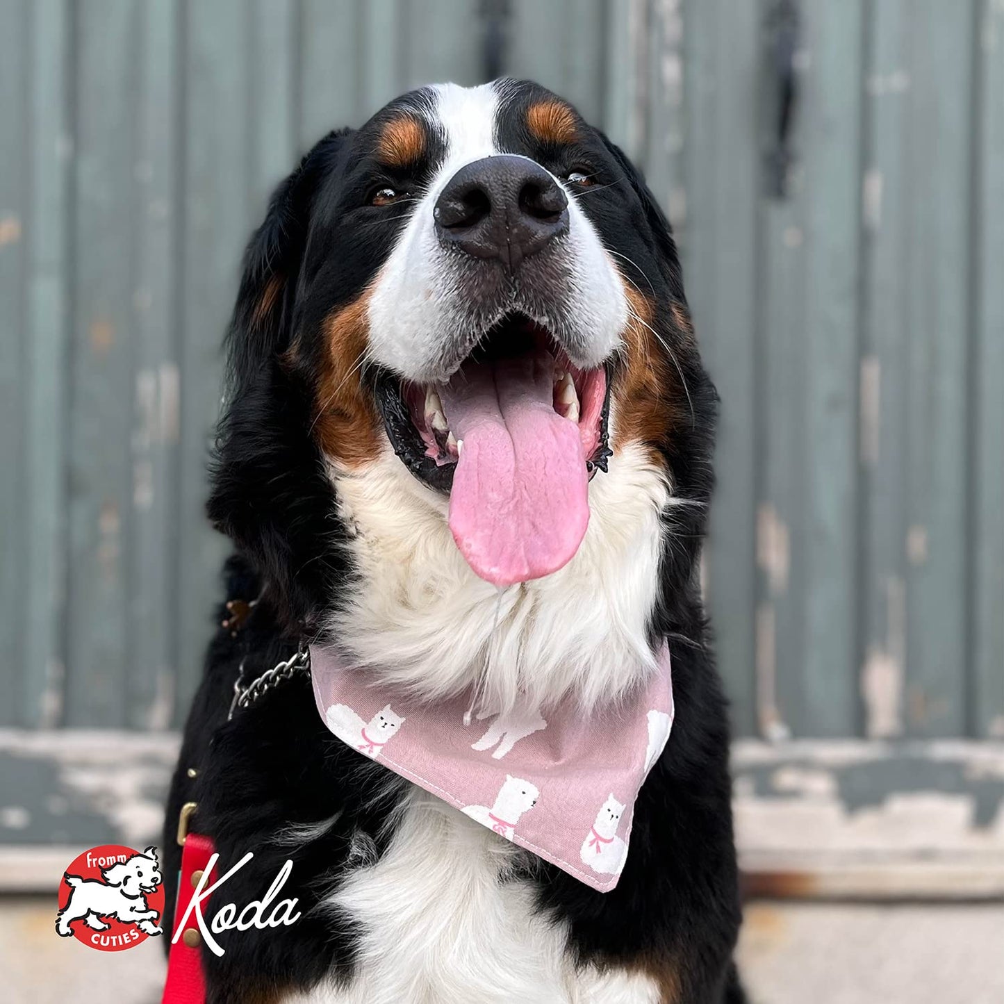 Fromm Weight Management Gold Premium Dry Dog Food - Weight Management Dog Food for Medium & Small Breeds - Turkey Recipe - 5 lb