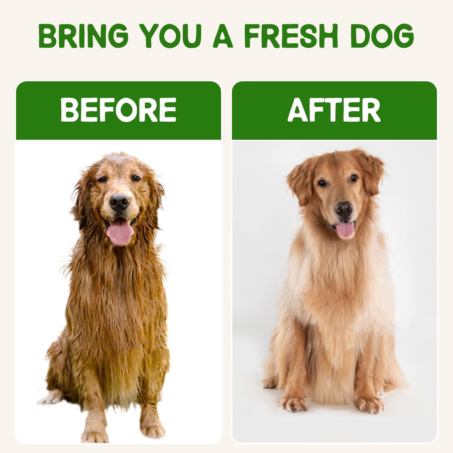 Golden Retriever Shampoo for Sensitive Skin - Natural Camellia Deshedding Pet Shampoo | Allergy & Itch Relief | Reduce Shedding & Odor Control for Smelly Dogs | Botanical Scent |16 oz