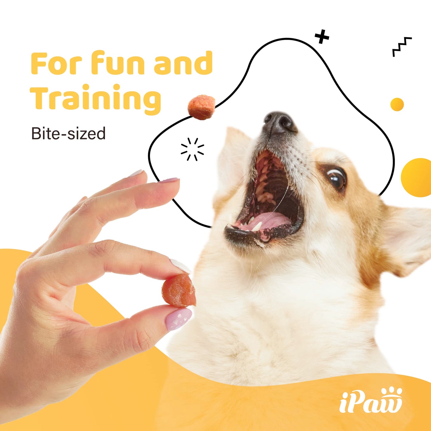 iPaw Chicken Tots Dog Treats for Puppy Training, All Natural Human Grade Dog Treat, Hypoallergenic, Easy to Digest (Chicken Tots)