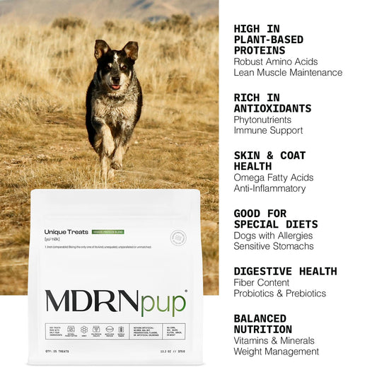 MDRNpup® Unique Dog Treats, Human Grade and All-Natural, Only Five Ingredients, High Protein - Amino Acids, Nothing Artificial, Soft Baked in The USA (13.2 Ounce, Veggie Protein Blend)