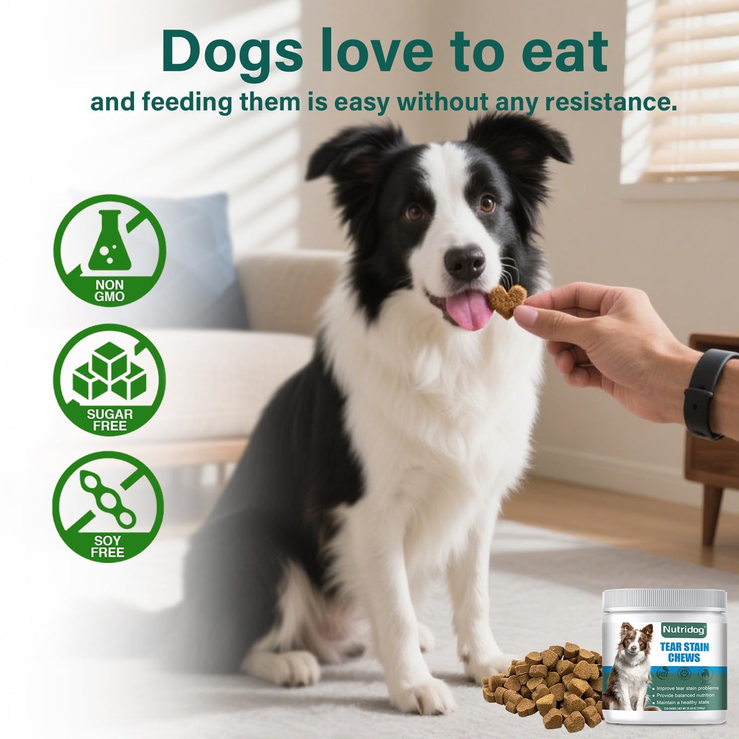 Nutridog Tear Stain Chews for Dogs - Dog Tear Stain Remover & Supplement with Antioxidant Blend, Vitamin C, Lutein - 120ct Beef Flavor Soft Chews for Eye Health & White Fur Care (ND-038)