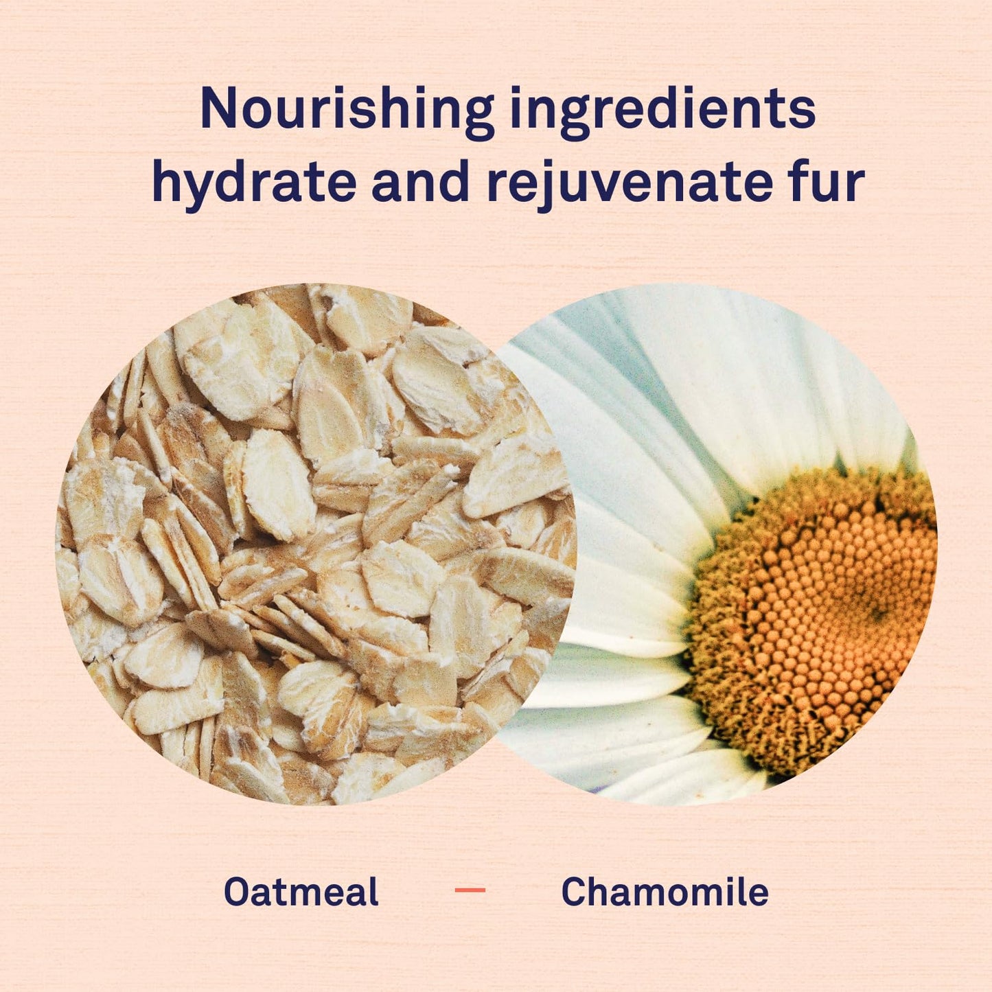Petpost | Oatmeal & Chamomile Dog Shampoo. Soothes Dry, Sensitive Skin, Moisturizes & Softens Coat with Aloe & Yucca. 16 oz