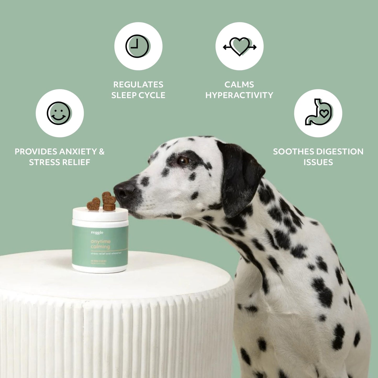 Reggie Anytime Calming Chews for Dogs | Natural Anxiety Relief with L-Theanine & Magnolia Barks | Calming Dog Treats for Separation Anxiety, Thunderstorms, Travel & Stress | 60 Soft Chews