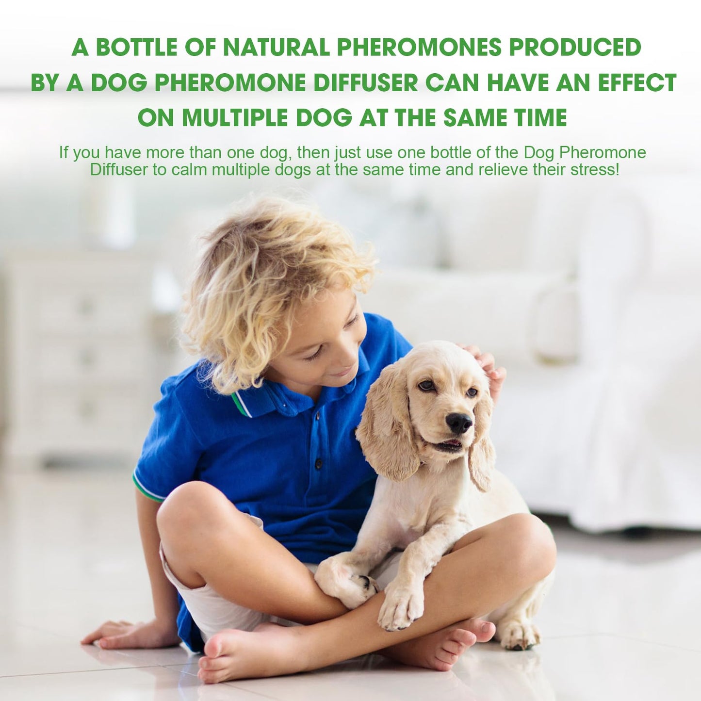 Nodfens Dog Calming Diffuser Pheromone Dog Peeing Diffuser, 1 Plug in+ 1 Pack 45ml Trial Pack Dog Anxiety Relief Up to 30 Days