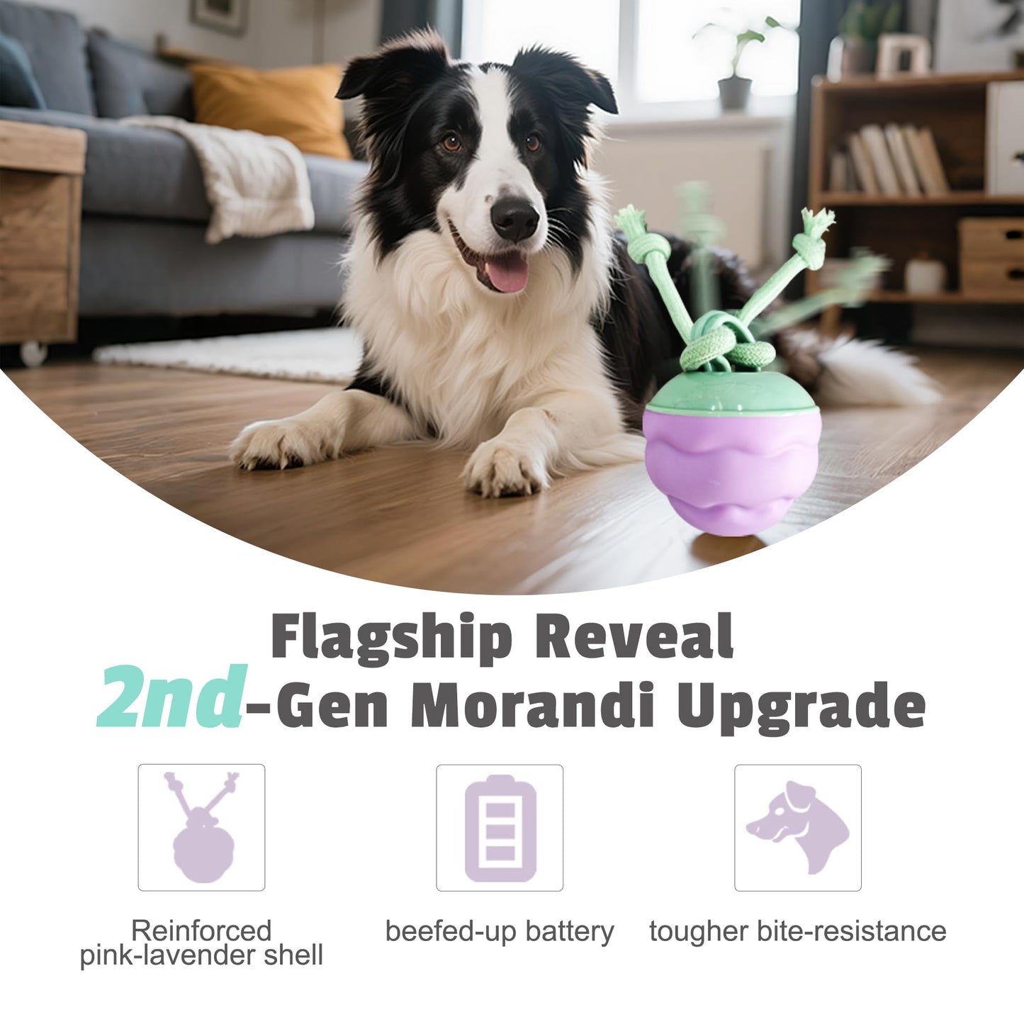 Zelunika Interactive Dog Toys [2025 Upgrade] – Smart Dog Ball, Automatic Motion-Activated Rolling, Random Path, Squeaky Sounds, USB-C Rechargeable LED Light, Indoor/Outdoor Use