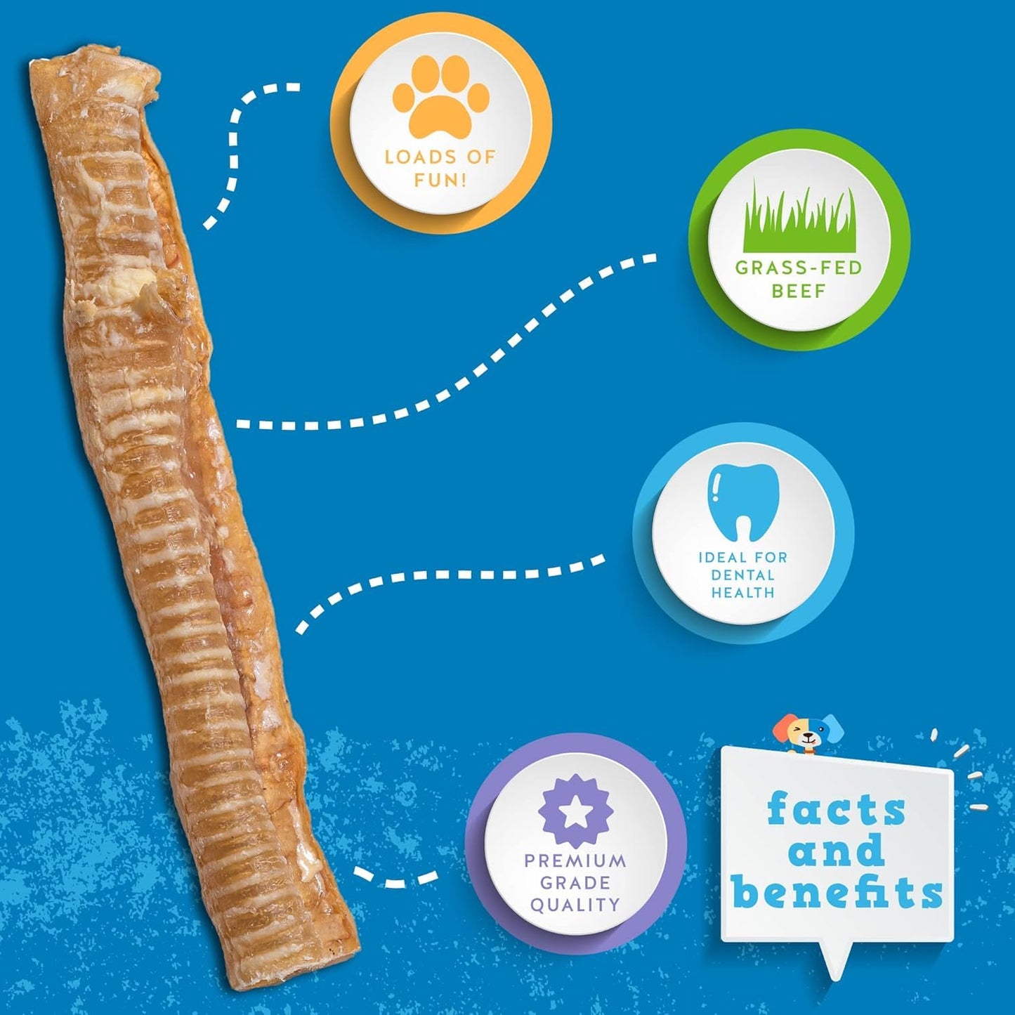 Jack&Pup 12" Beef Trachea for Dogs | All Natural Single Ingredient Dog Treat Dog Trachea Chews | Savory and Fun Treat for Dogs (3 Pack)