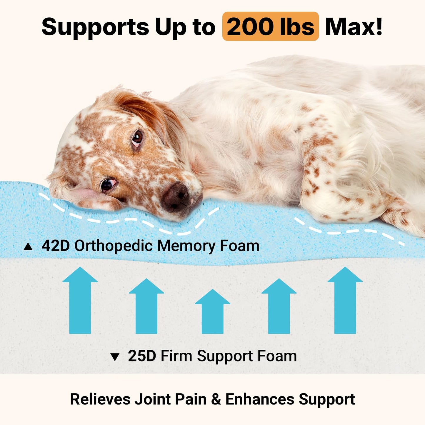 Veehoo Orthopedic Memory Foam Dog Bed, 7 Inch Thick Extra Large Dog Bed XL for Senior Dogs with Ultra-Soft Fluffy Surface, Waterproof Liner, Removable Washable Cover and Non-Slip Bottom, 48"x30"x7"