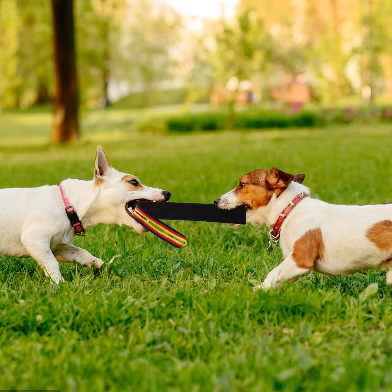 balacoo 2pcs Leather Puppy Bite Rag with Handle - Dog Tug Toy, Soft Leather Dog Training Tug Toy for Small Medium Large Dogs, Dogs Training Supplies, Black