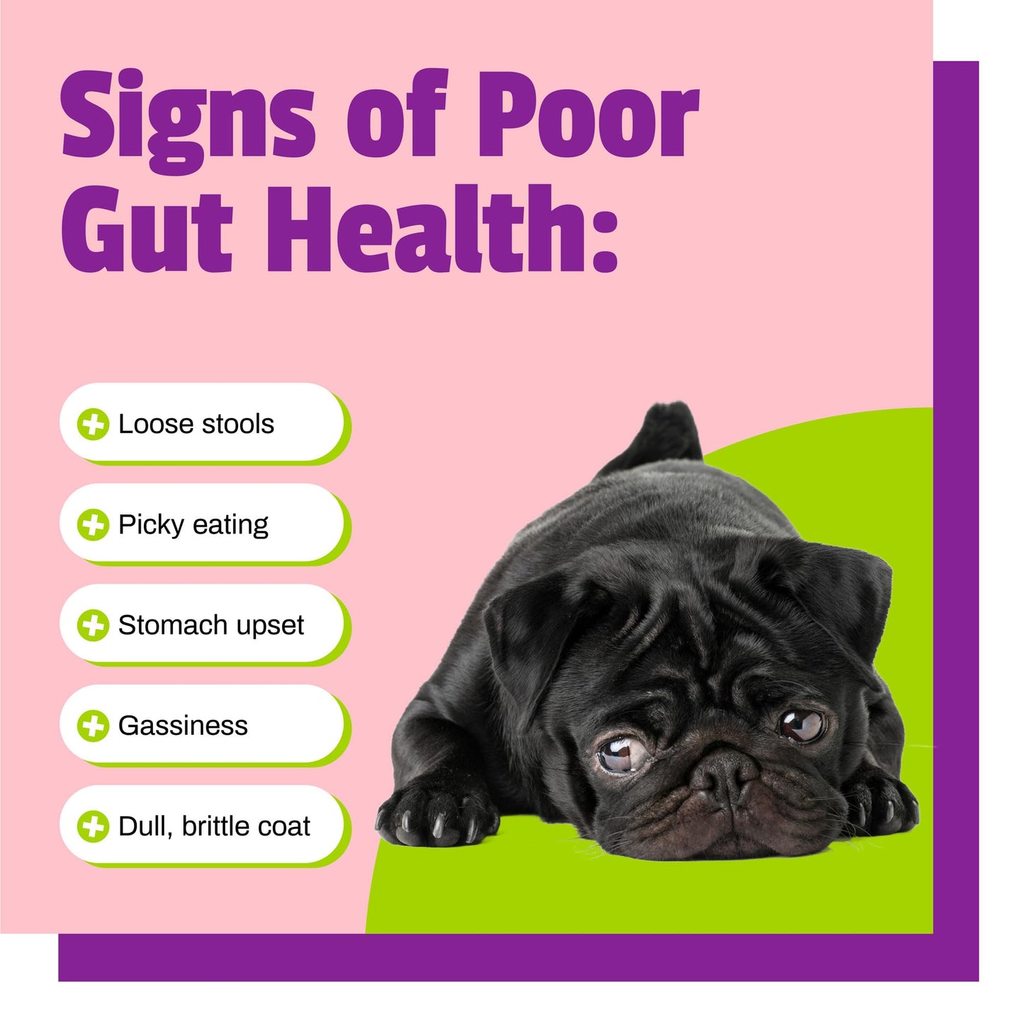 Pet Naturals BusyButter Balanced Belly Peanut Butter Bones, Rawhide-Free Chews for Small Dogs, Long Lasting Chew Bones, Probiotics and Pumpkin for Gut Health, 22 Count