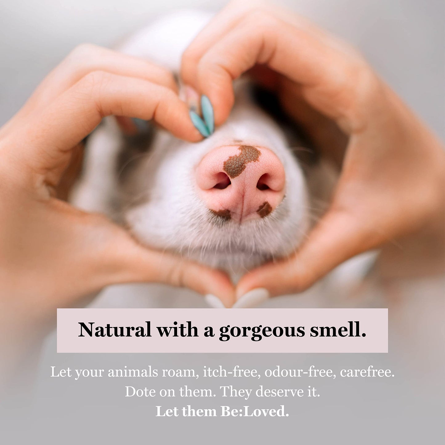 BeVegan Hypoallergenic Dog Shampoo for Sensitive Skin, Soothing & Calming Natural Ingredients Vegan Hemp & Camomile, Handmade in The UK - 110g Soap Bar