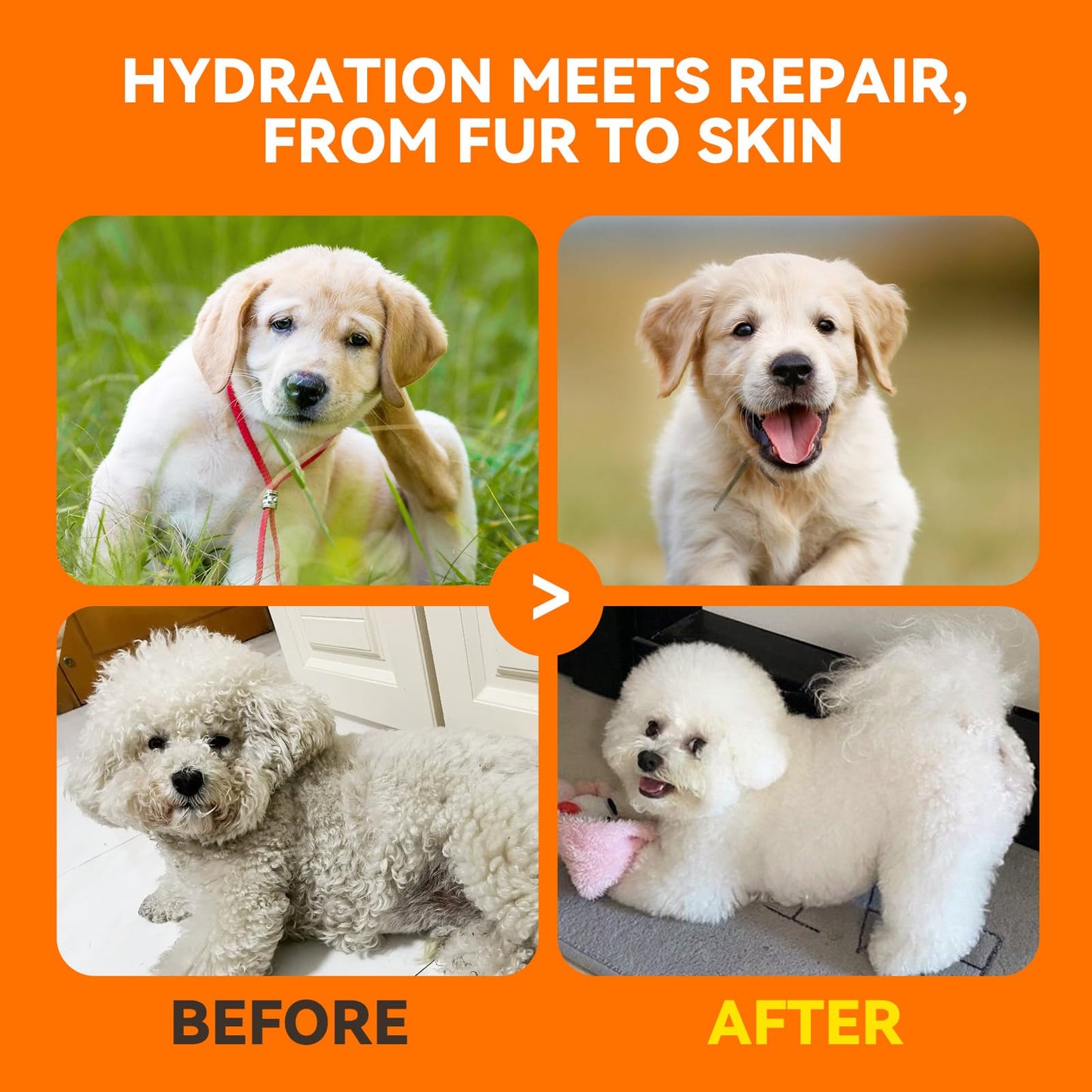 Arm & Hammer Deodorizing Dog Shampoo for Smelly Dogs & Puppies with Baking Soda, Moisturizing Dog Shampoo for Sensitive Skin - Dog Odor Shampoo - Kiwi Blossom Scent, 20 Fl Oz