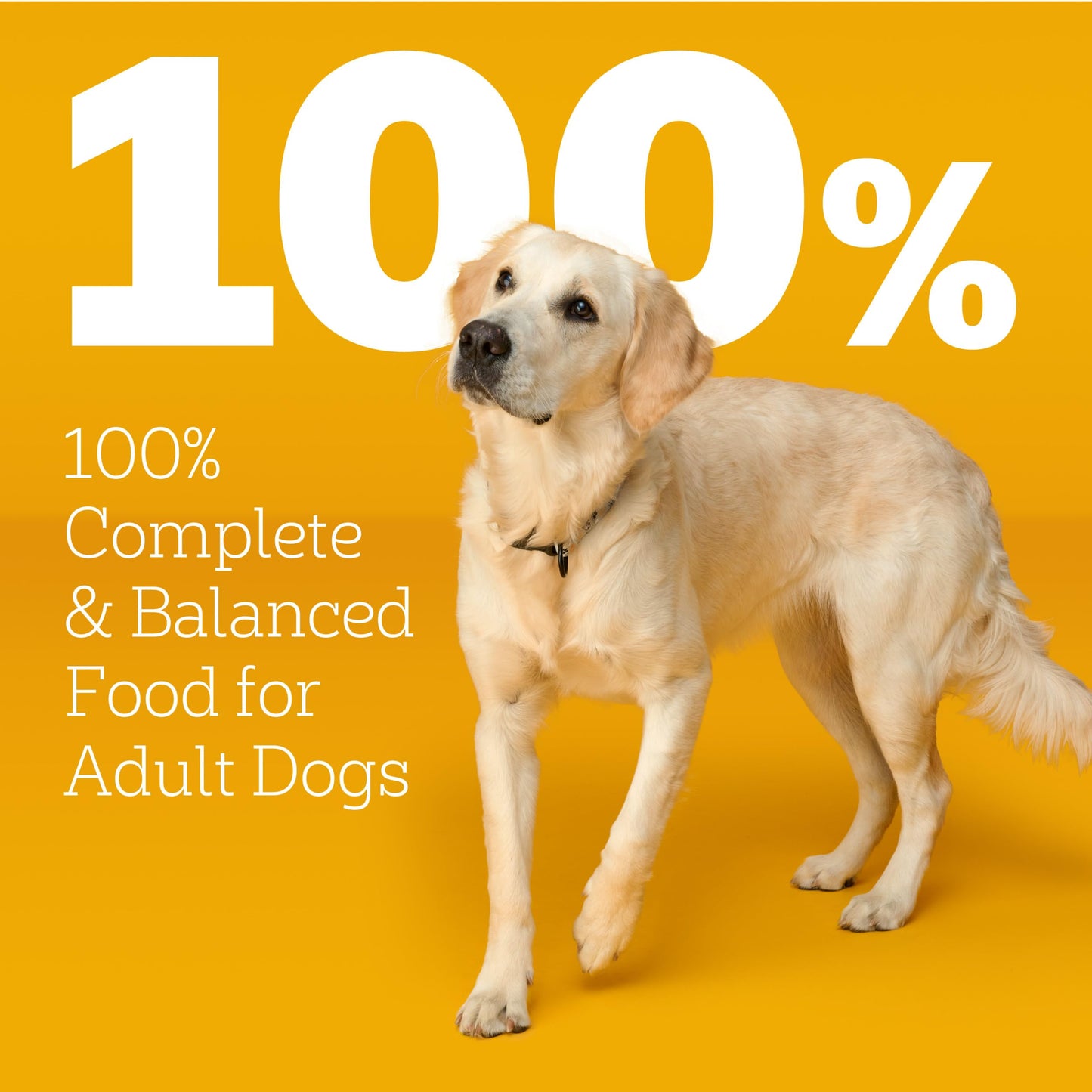 Pedigree Healthy Weight Adult Dry Dog Food, Roasted Chicken and Vegetable Flavor, 14 lb. Bag