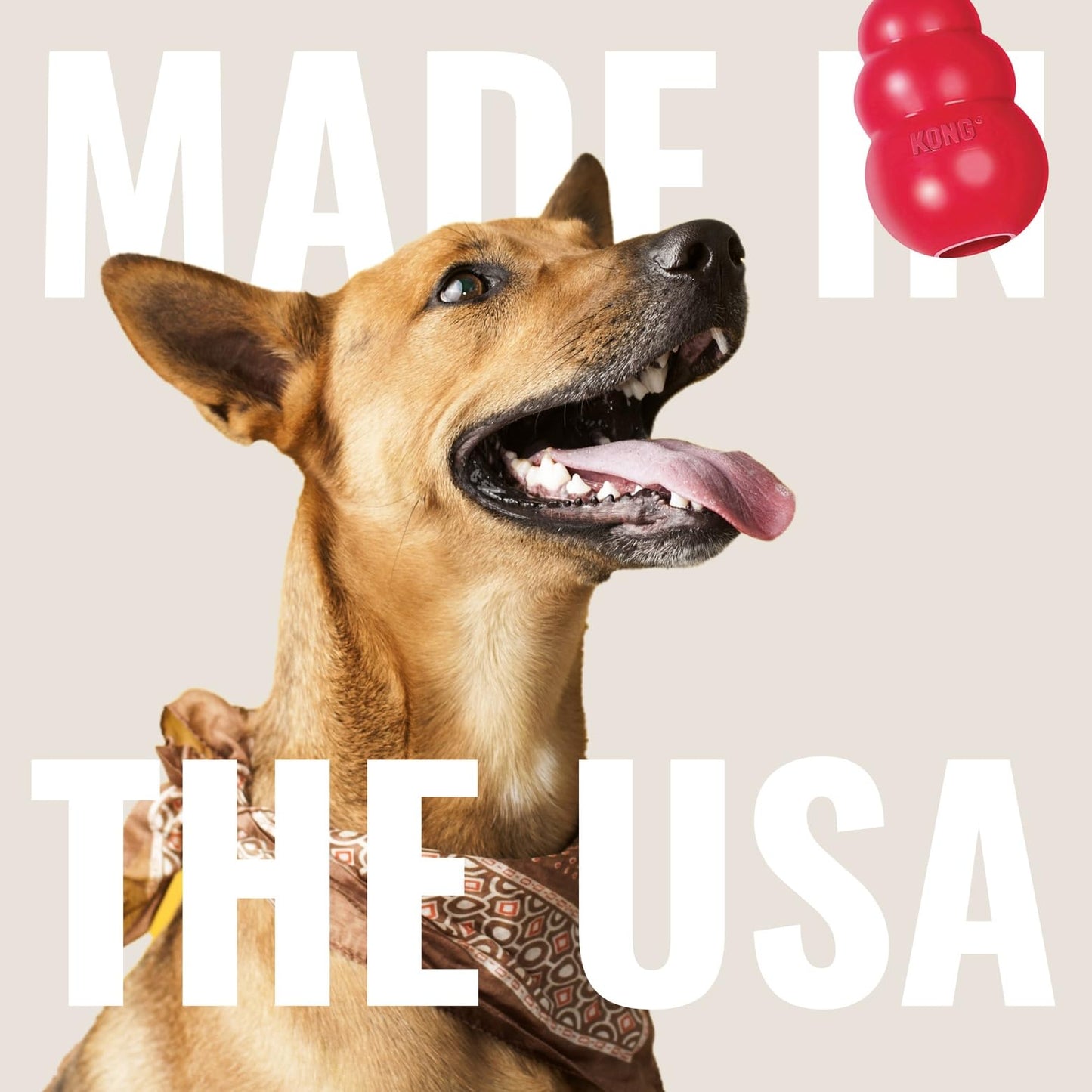 KONG Ring & Goodie Ribbon - Durable Rubber Treat-Dispensing Chew Toy for Dental Health - for Large Dogs