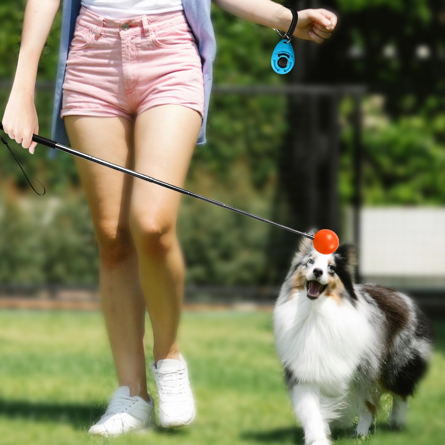 Training Kit - 1 Target Stick, 1 Training Clicker, 1 Whistle - Dog Training Equipment Tools, Cat Toilet Trainer Kit, Agility Training Lure Course For Dogs, Kitten Puppy Behavior Aids Trick (A Type)