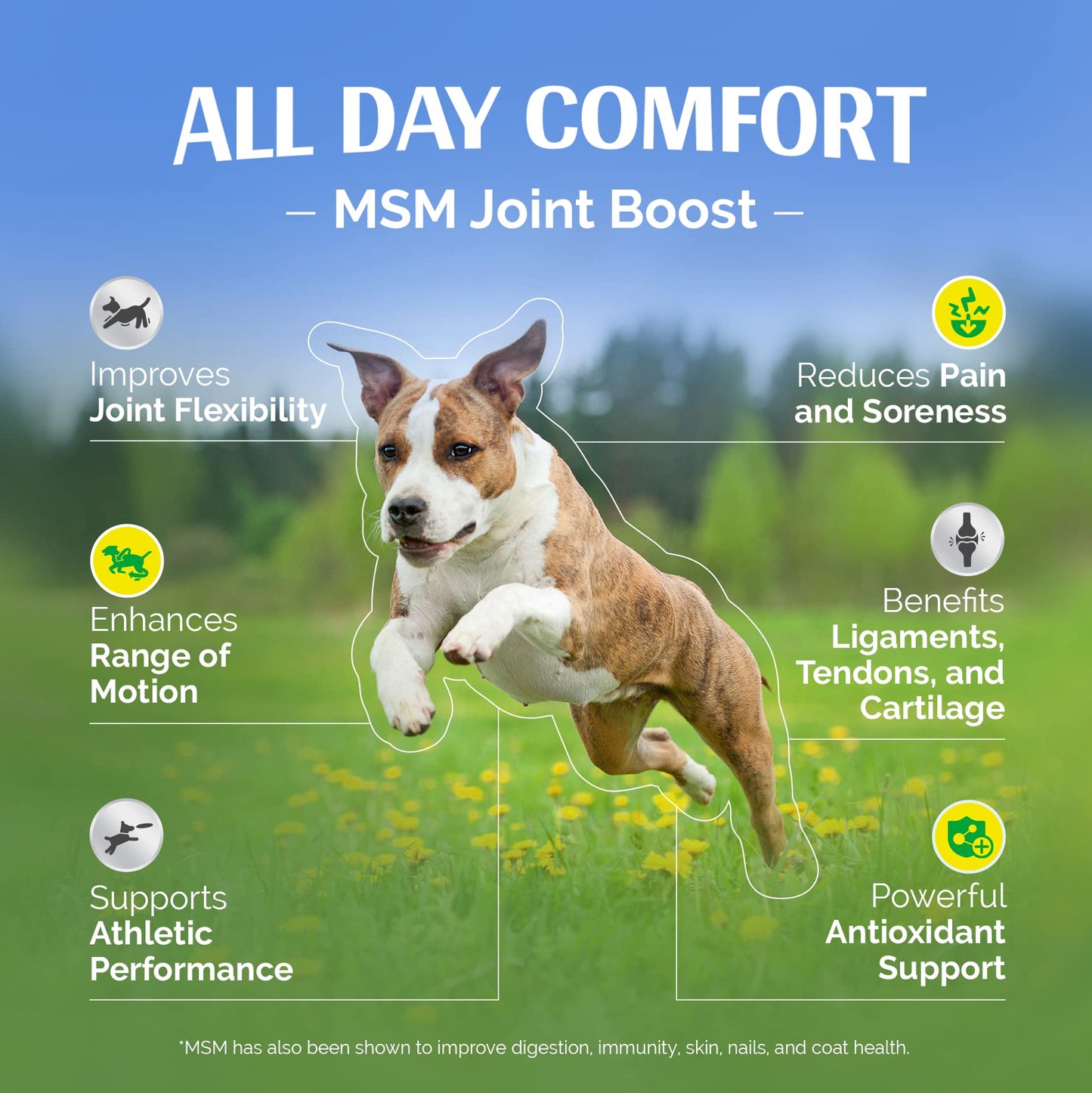 Joint Support Supplement for Dogs, Joint & Hip Support Supplement Tablets with MSM and Glucosamine Supports Dog Joint Pain Relief, Dog Mobility Support & Maintains Cartilage Health, Duck Flavor - 180P