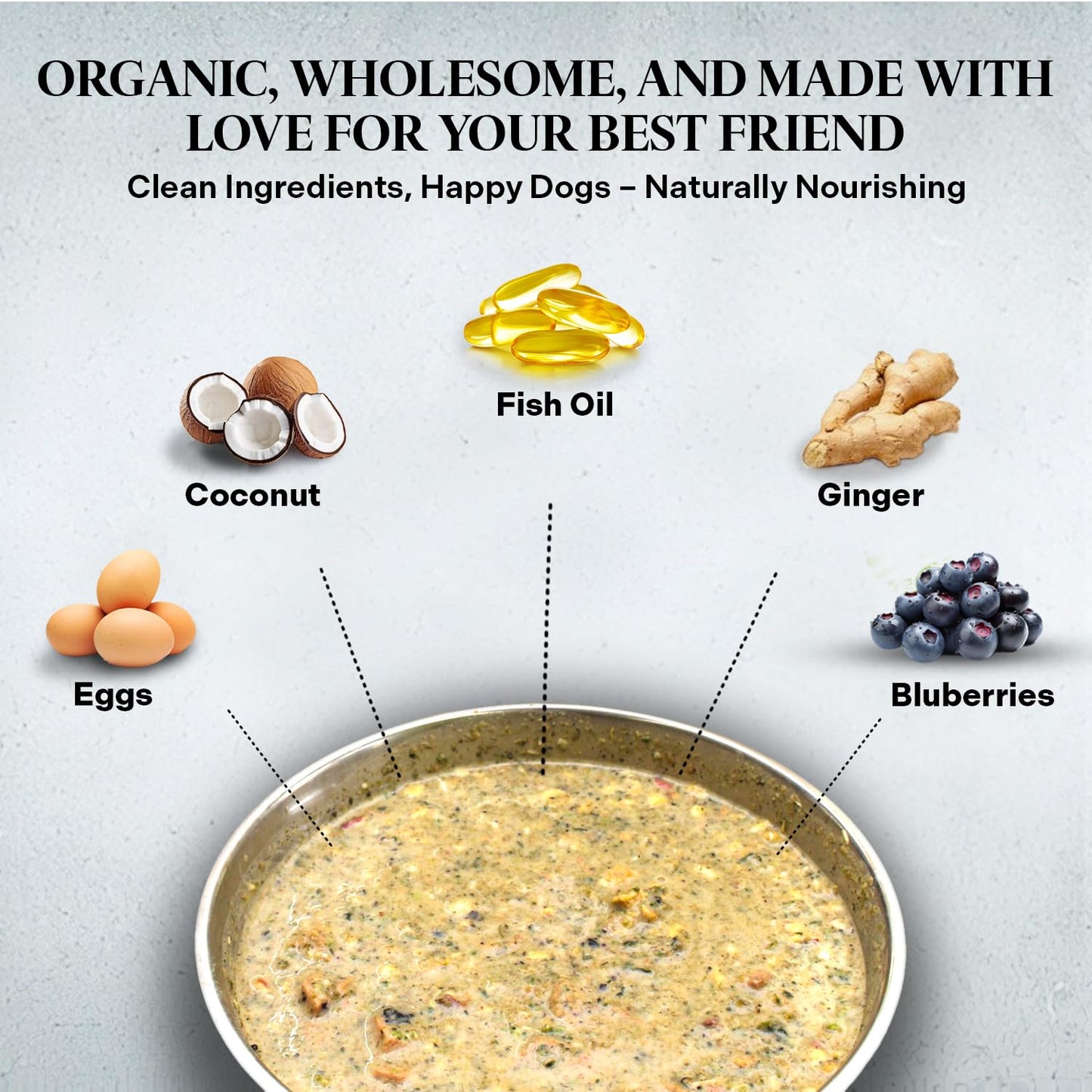 Healthy Dogma - PetMix Dehydrated Dog Food for Allergies, Joint Support & Mobility - Grain Free, Raw, Homemade Dog Food (Skin & Coat, 2 lbs)
