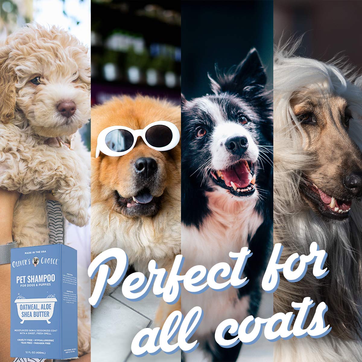 OLIVER'S CHOICE Dog Shampoo with Oatmeal, Aloe & Shea Butter – Deodorizing Puppy Shampoo for Smelly Dogs, Itchy Skin Relief, Paraben-Free, Biodegradable, Cruelty Free – 12 fl. oz