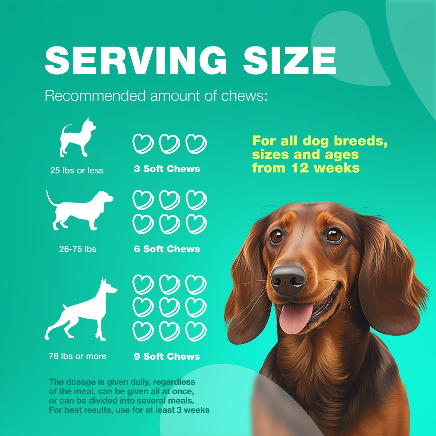 Dog Probiotic Chews with Digestive Enzymes - Probiotics for Dogs, Yeast Powder, Gut Health, Digestion, Immunity, Yeast Balance, Allergies Support - Gut Flora - All Breeds Canine Soft Chews