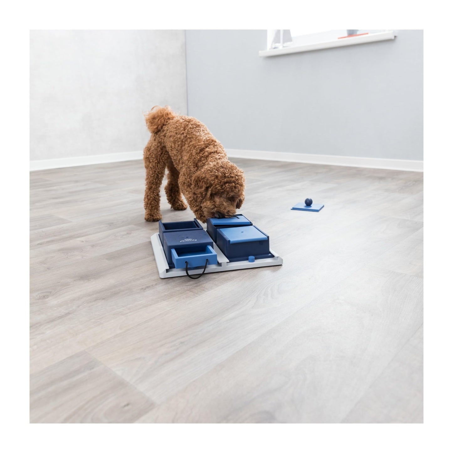 TRIXIE Poker Box 1 Dog Enrichment Toy, Intermediate Level 2 Dog Puzzle, Interactive Treat Game