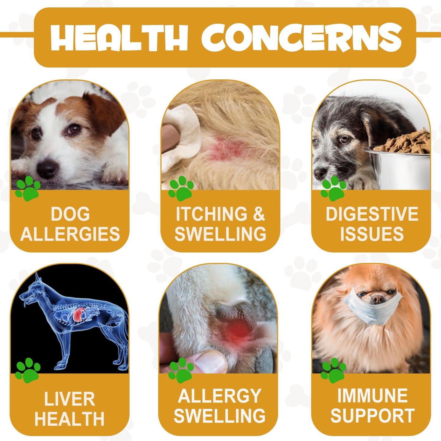 asusxcli Allergy Relief Drops for Dogs,Allergy and Immune,Immune Support Supplement,Dog Supplement,Natural Pet Supplement for Dog Allergy Relief with Turmeric & Milk Thistle