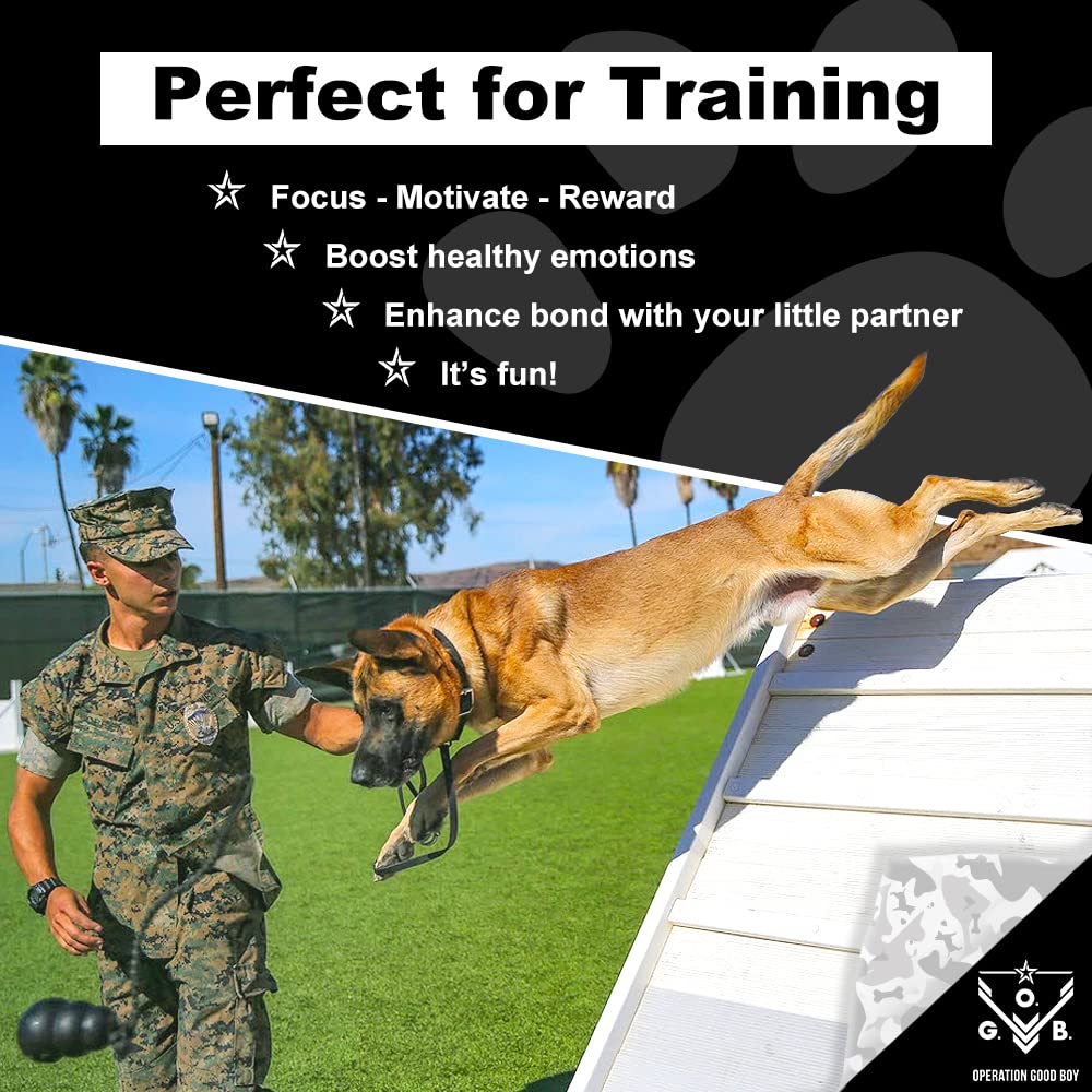 Stewart Single Ingredient Freeze Dried Raw Dog Treats, Chicken Liver, 11.5 Ounce, Approx. 215 Pieces per Resealable Tub, Training Treats or Meal Topper, High Protein, Grain Free, Gluten Free