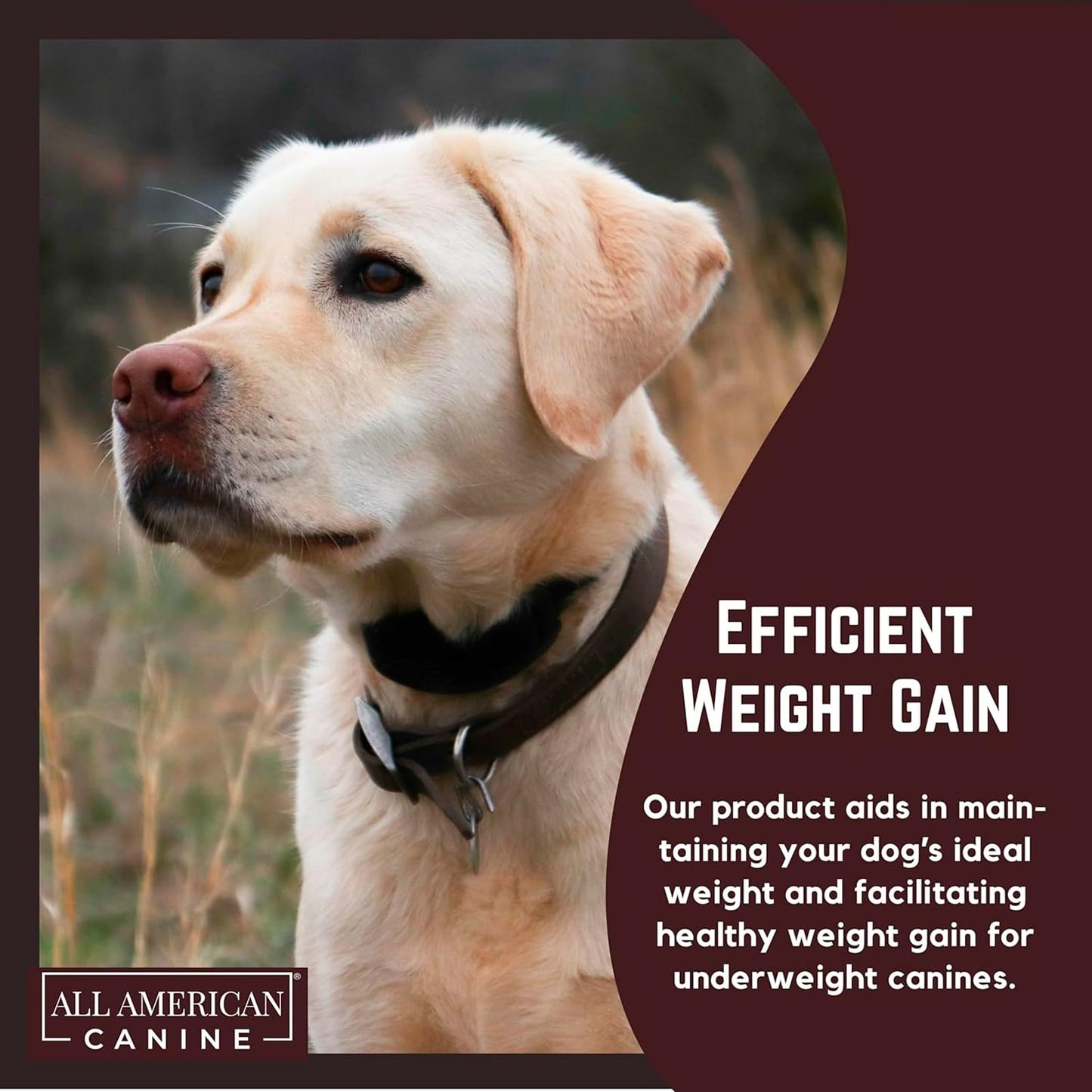 All American Canine Bulk Dog Weight Gainer – High Calorie Dog Food Supplement & Protein Powder for Rapid Weight Gain, Mass, and Recovery – Appetite Stimulant – 230 Servings