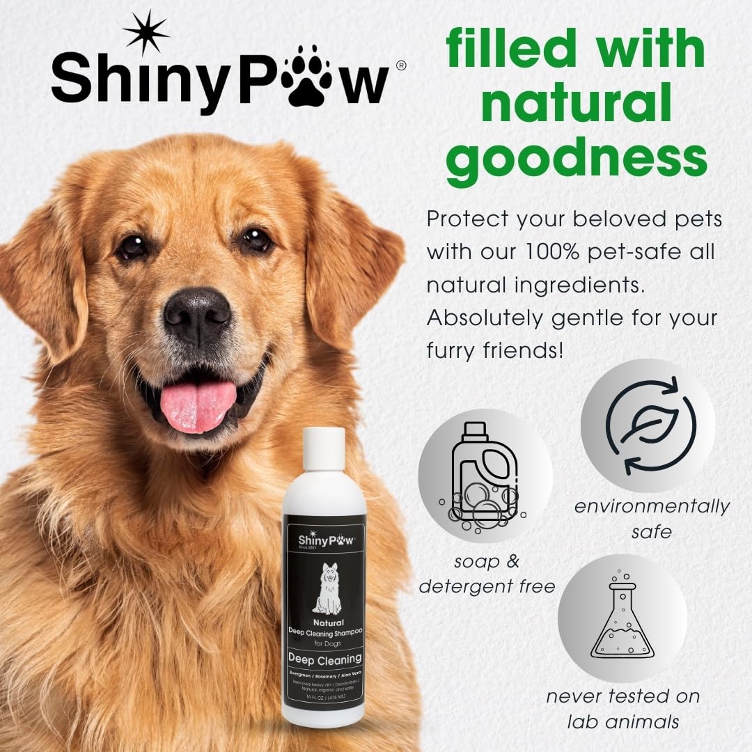 Shiny Paw Natural Deep Cleaning Organic Dog Shampoo 16 oz | Dog Itching Skin Relief with Evergreen, Aloe & Rosemary | Natural Dog Shampoo for Smelly Dogs