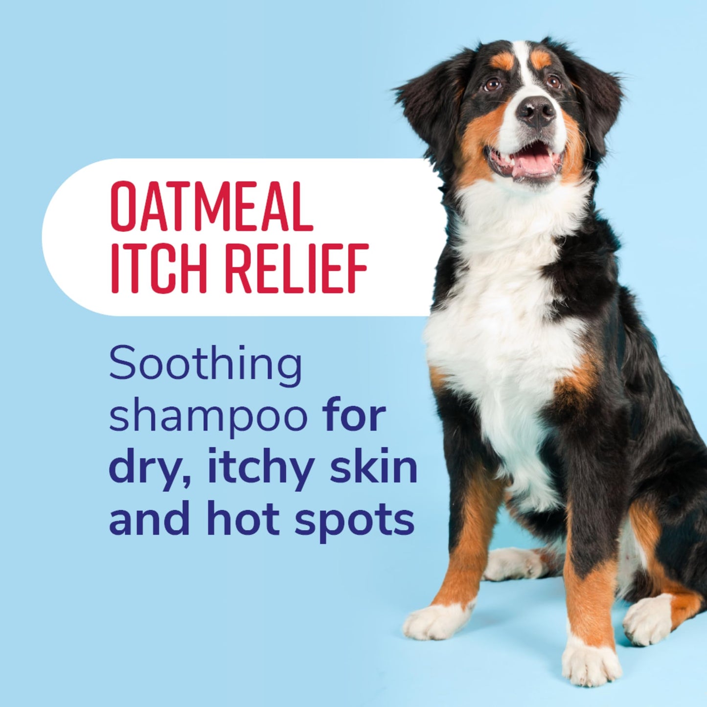 TrueBlue Grapefruit & Chamomile Deodorizing Dog Shampoo – Cleansing Wash, Moisturizing – Toxin Free, Natural Botanical Blend – Tearless – 12 Fl. Oz.