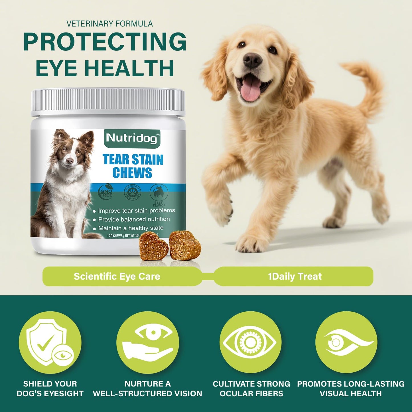 Nutridog Tear Stain Chews for Dogs - Dog Tear Stain Remover & Supplement with Antioxidant Blend, Vitamin C, Lutein - 120ct Beef Flavor Soft Chews for Eye Health & White Fur Care (ND-038)