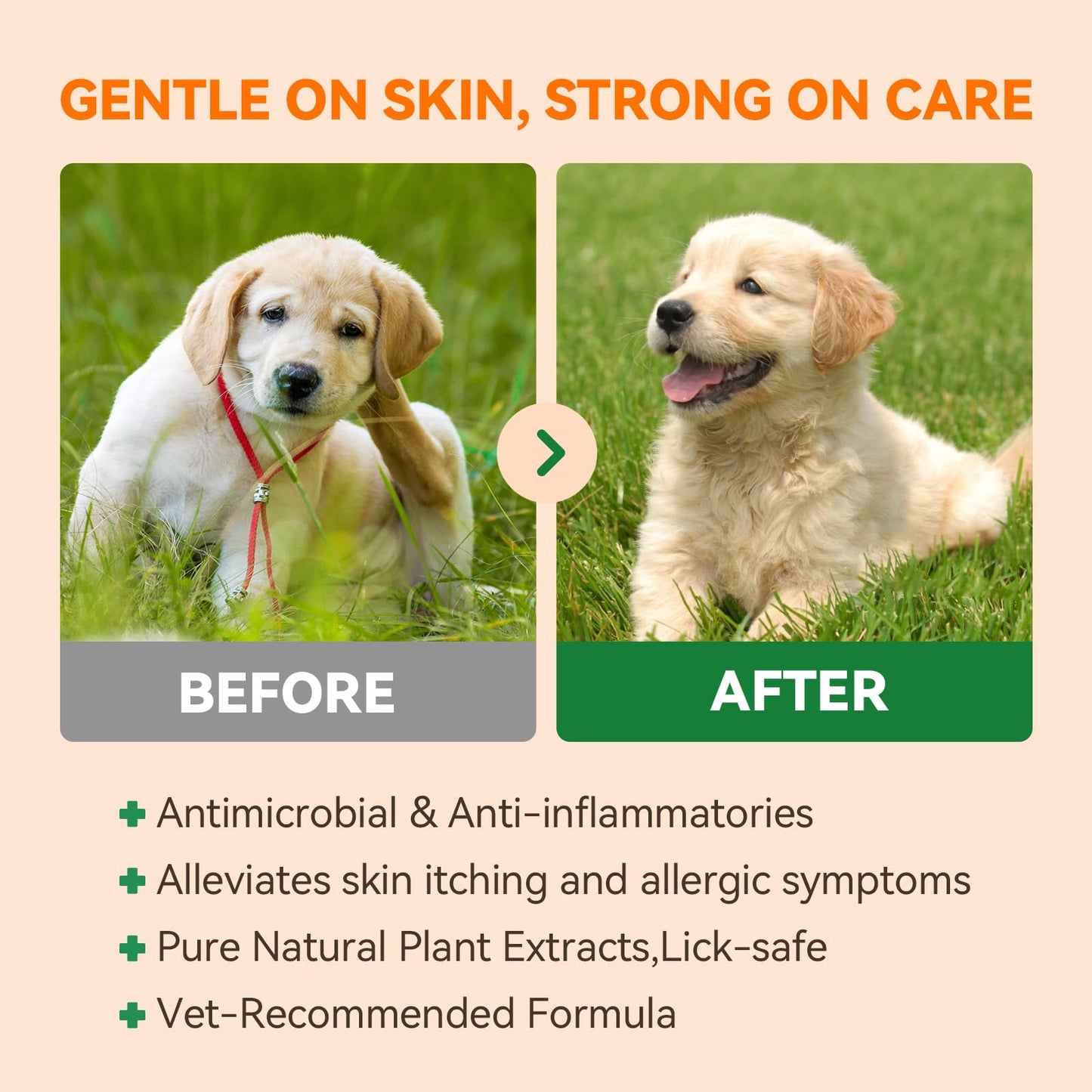 PUAINTA Hot Spot Treatment for Dogs, Pure Natural Dog Itch Skin & Allergy Relief Spray, Hot Spot Spray for Dogs Cats - Helps Alleviate Sensitive Skin, Licking Paws, 4oz
