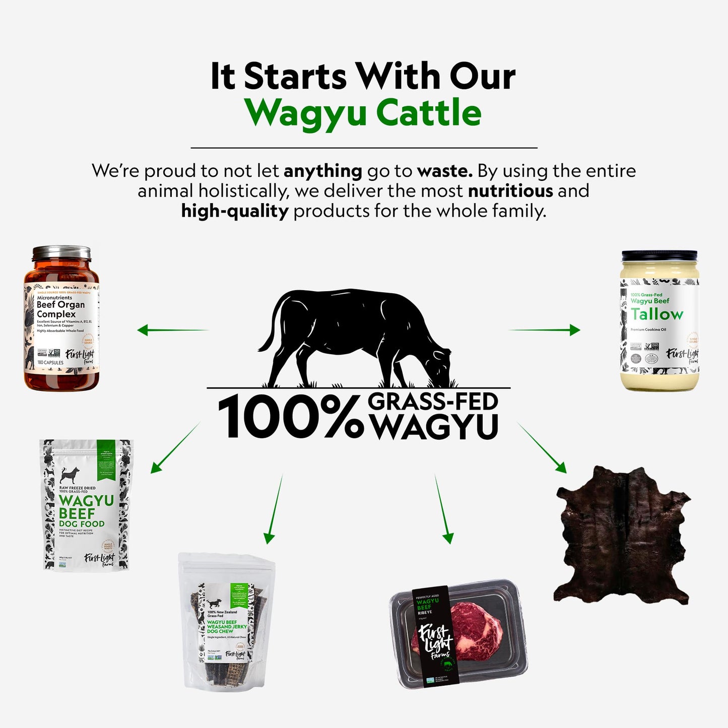 First Light Farms Wagyu Beef Esophagus Dog Treats | Gullet Sticks for Dogs | Esophagus Jerky Treats | All Natural Weasand Chews, 4-5 Count | Healthy Treats for Teeth, Mental Stimulation, Joint Support